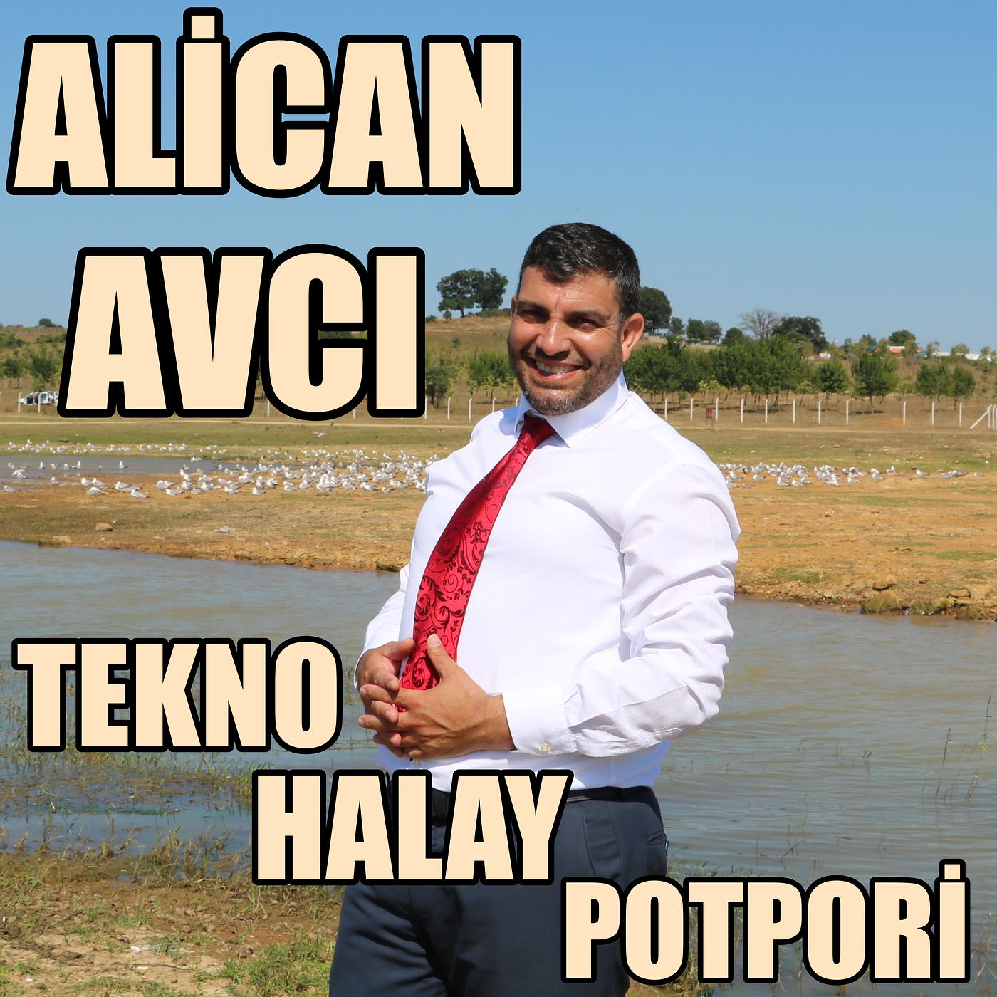 Постер альбома Tekno Halay Potpori