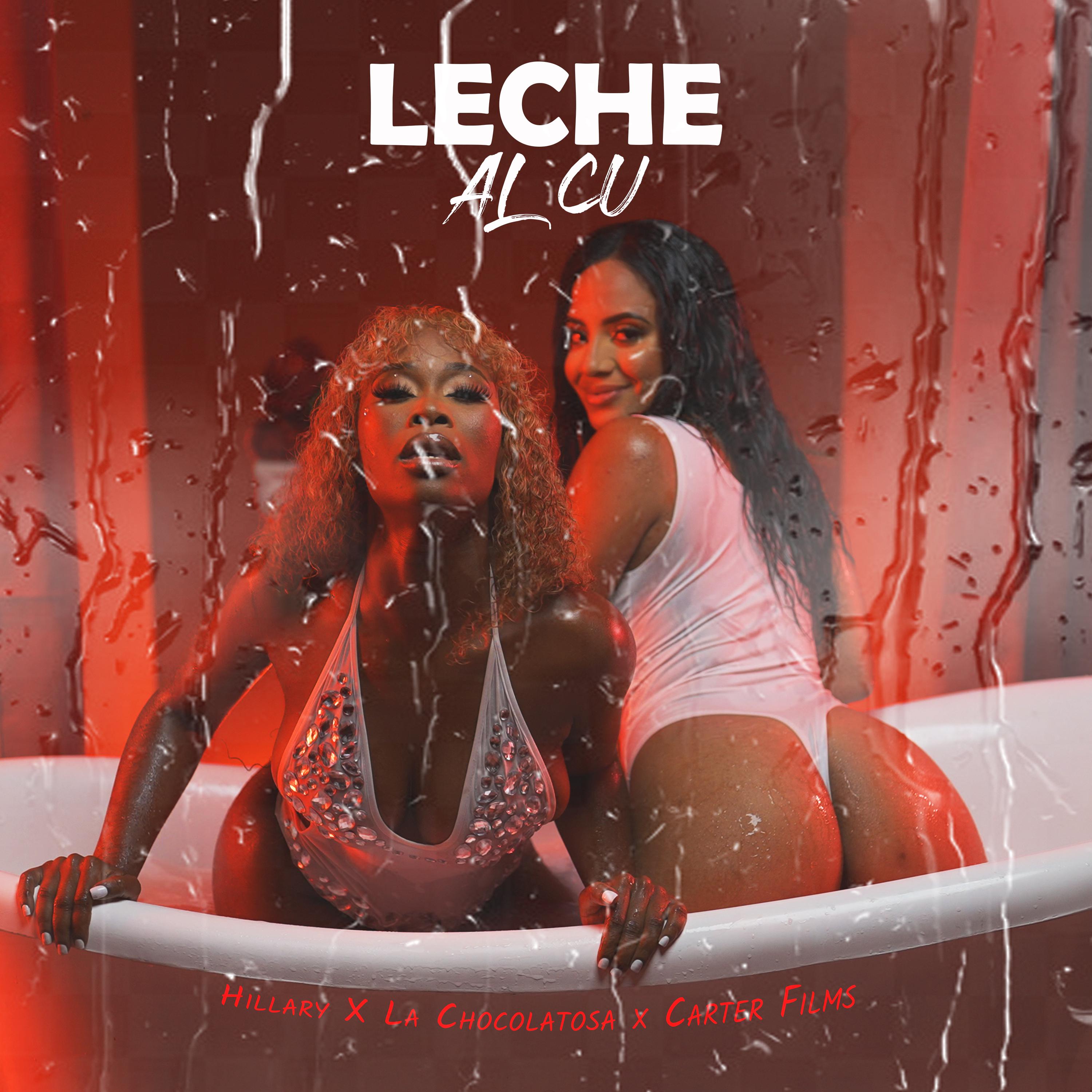 Постер альбома Leche al Cu