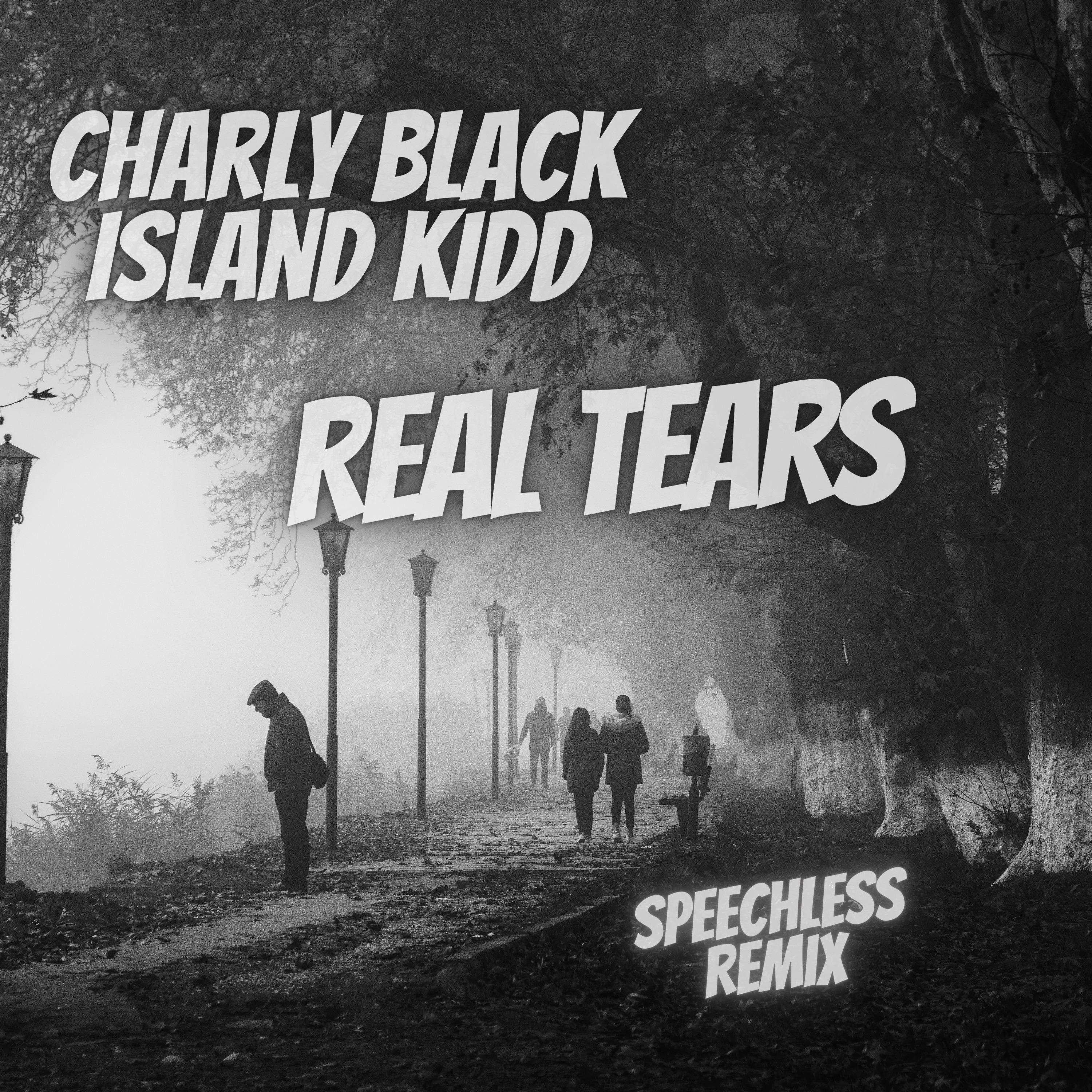Постер альбома Real Tears (Speechless Remix)