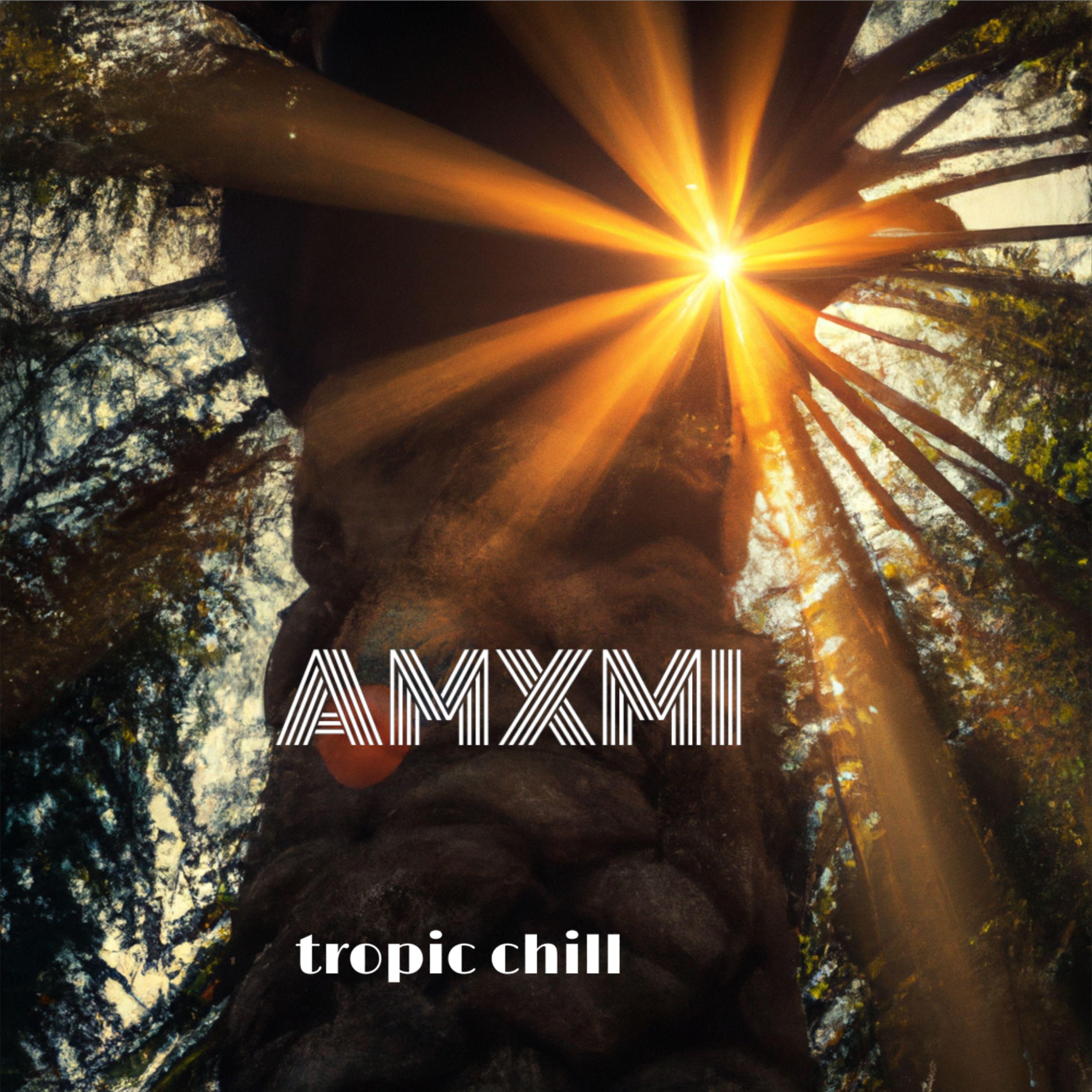 Постер альбома Tropic Chill
