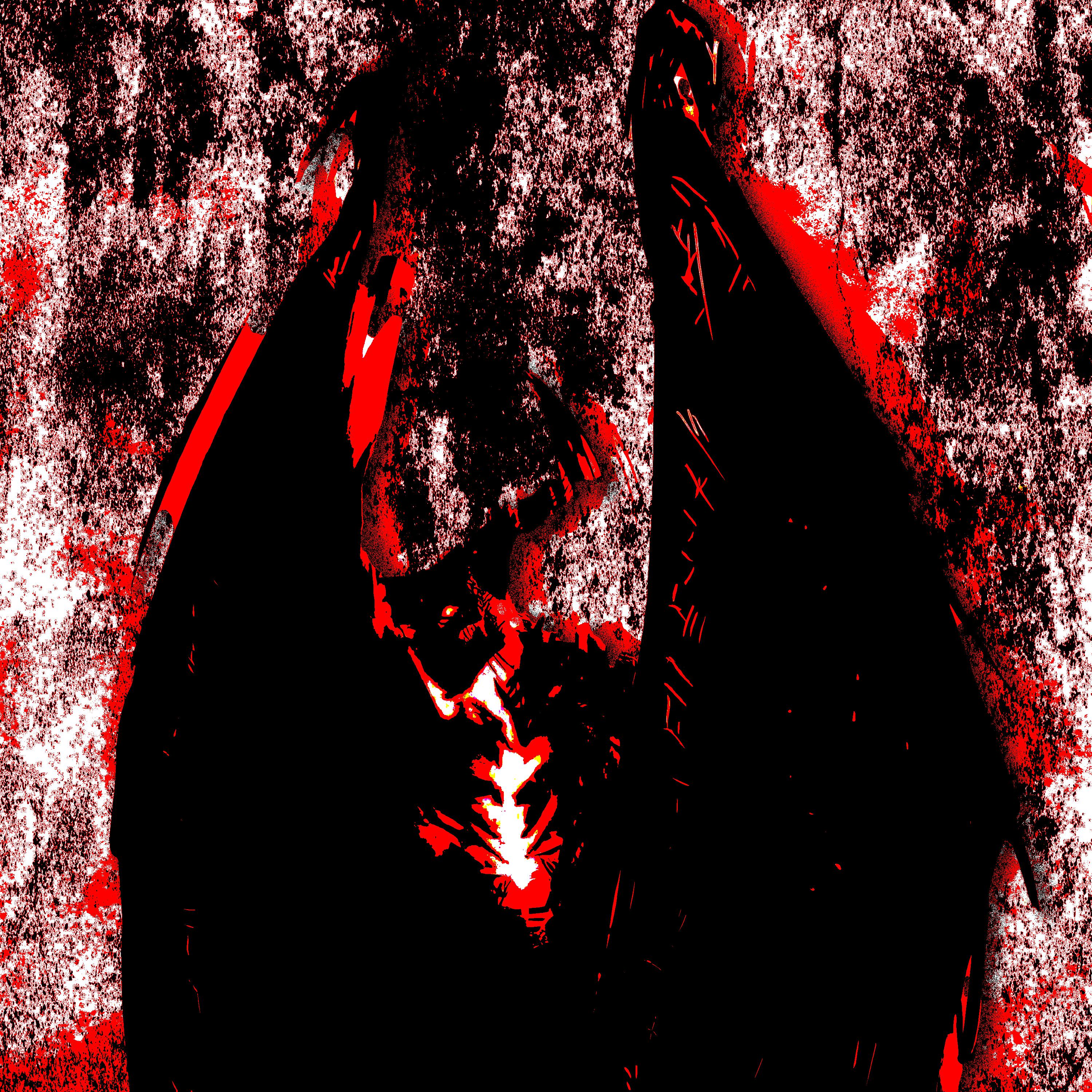 Постер альбома Demonical Automotivo