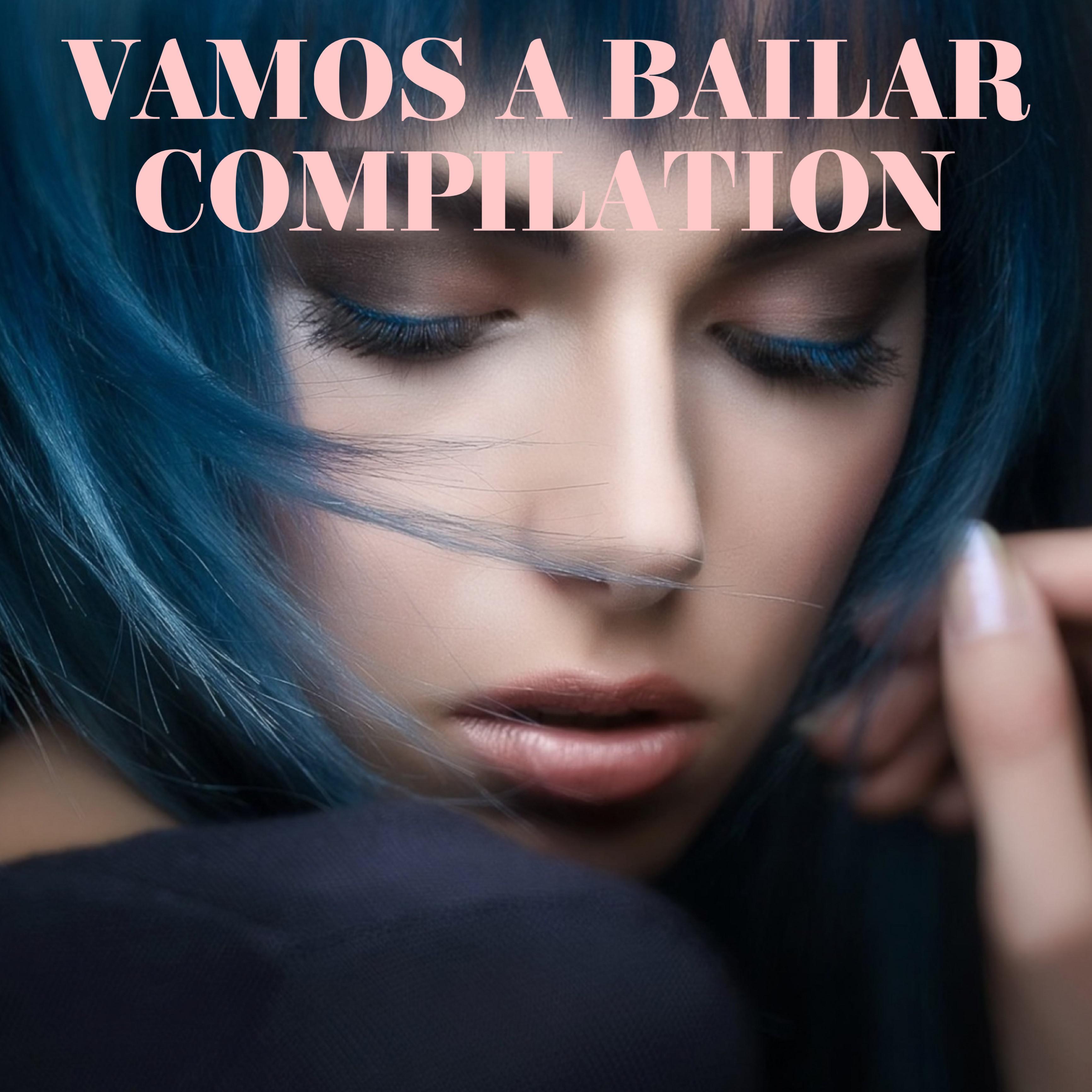 Постер альбома Vamos A Bailar Compilation