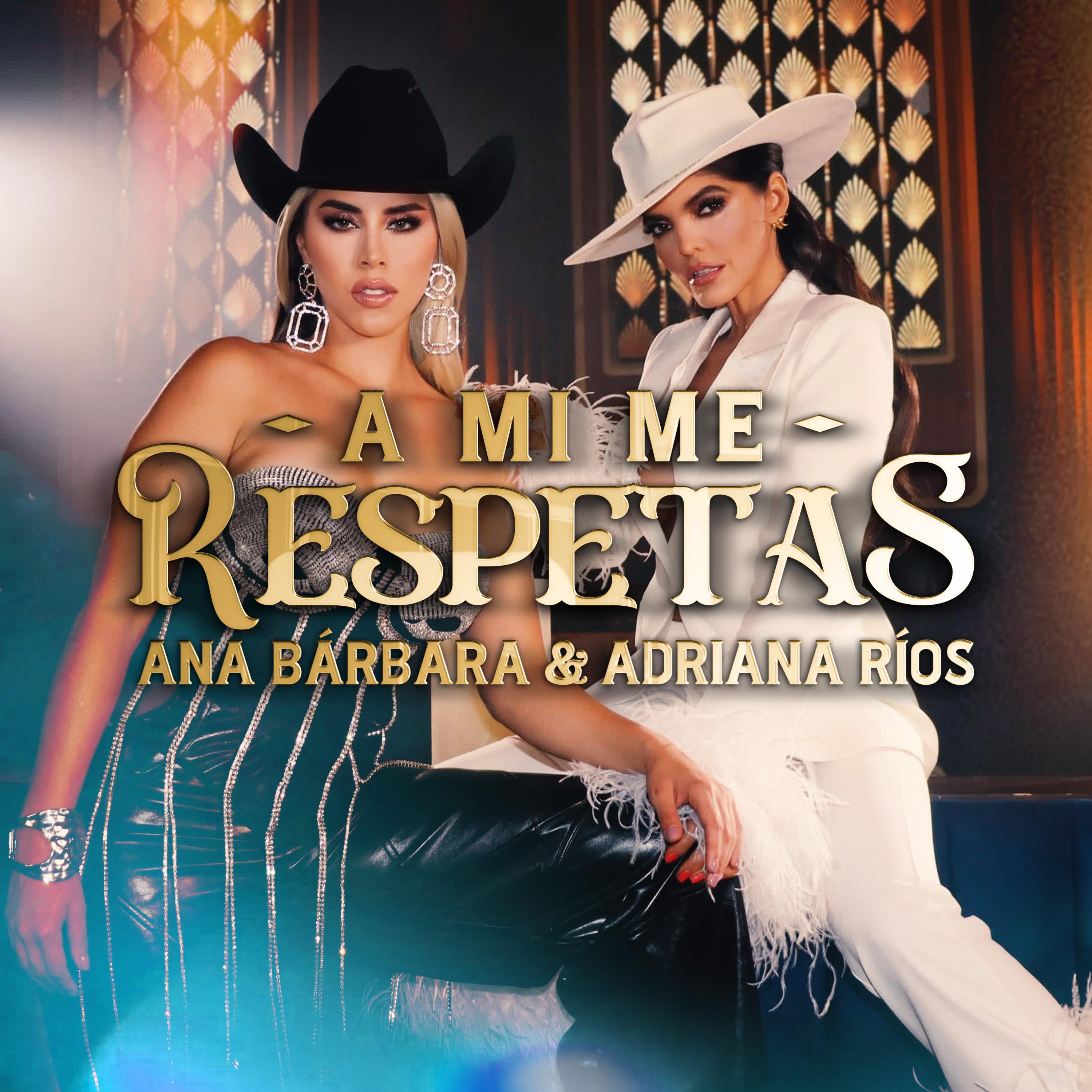Постер альбома A Mi Me Respetas