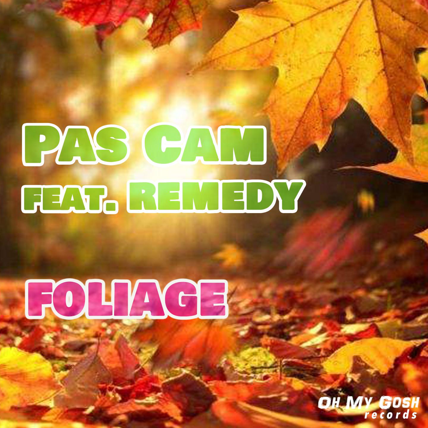 Постер альбома Foliage