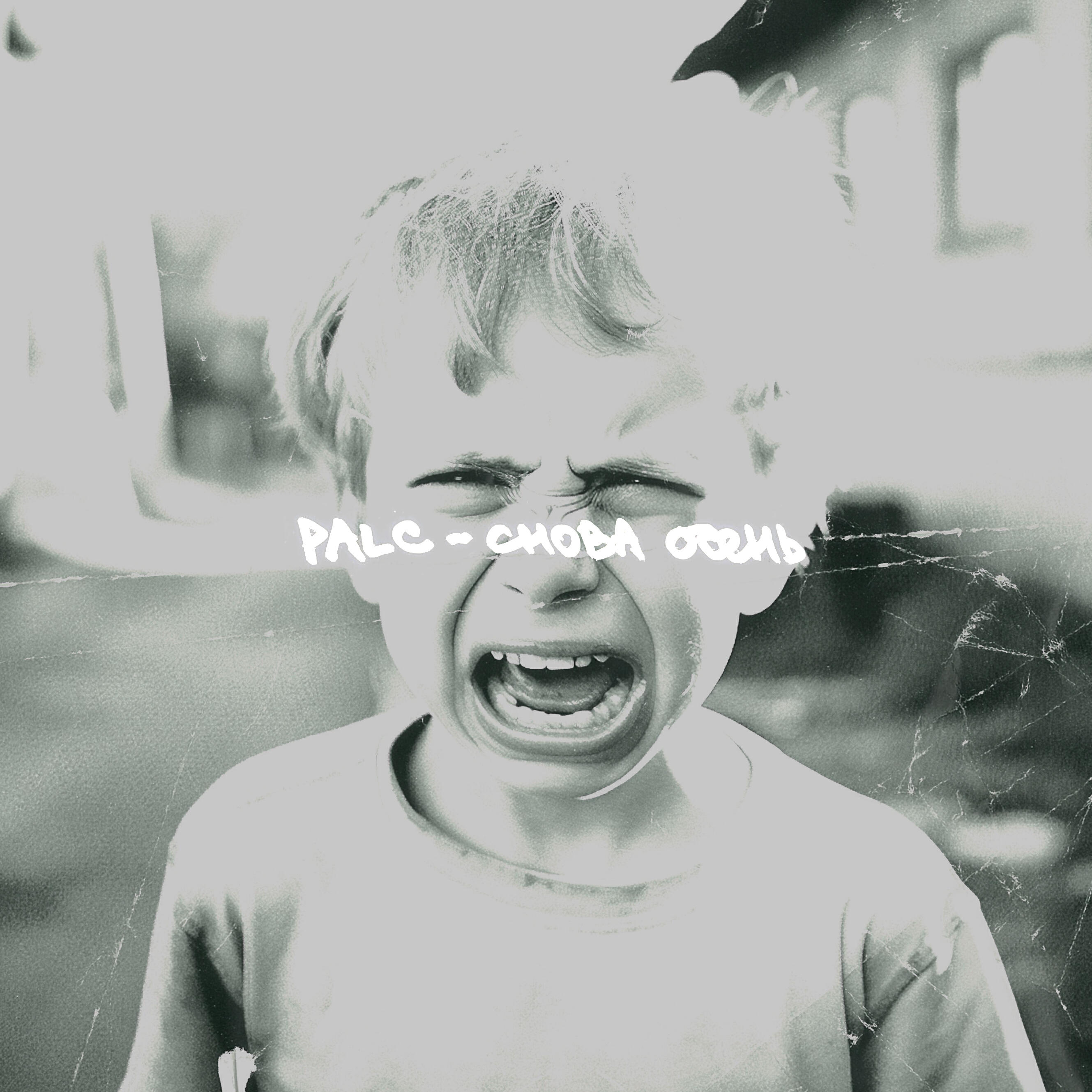 PALC - Ко мне