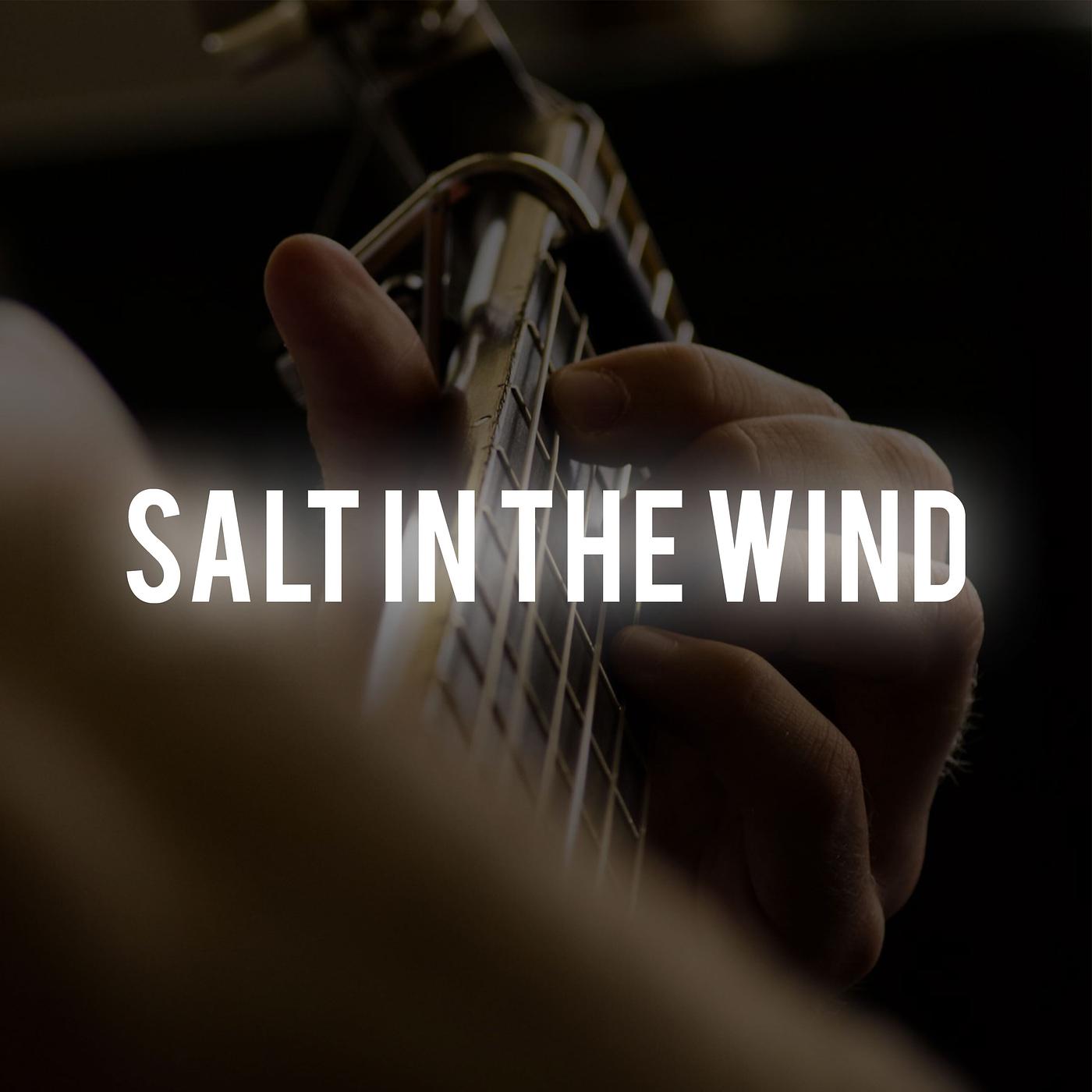 Постер альбома Salt in the Wind