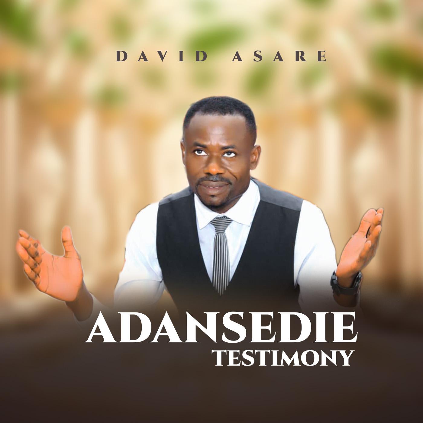 Постер альбома Adansedie