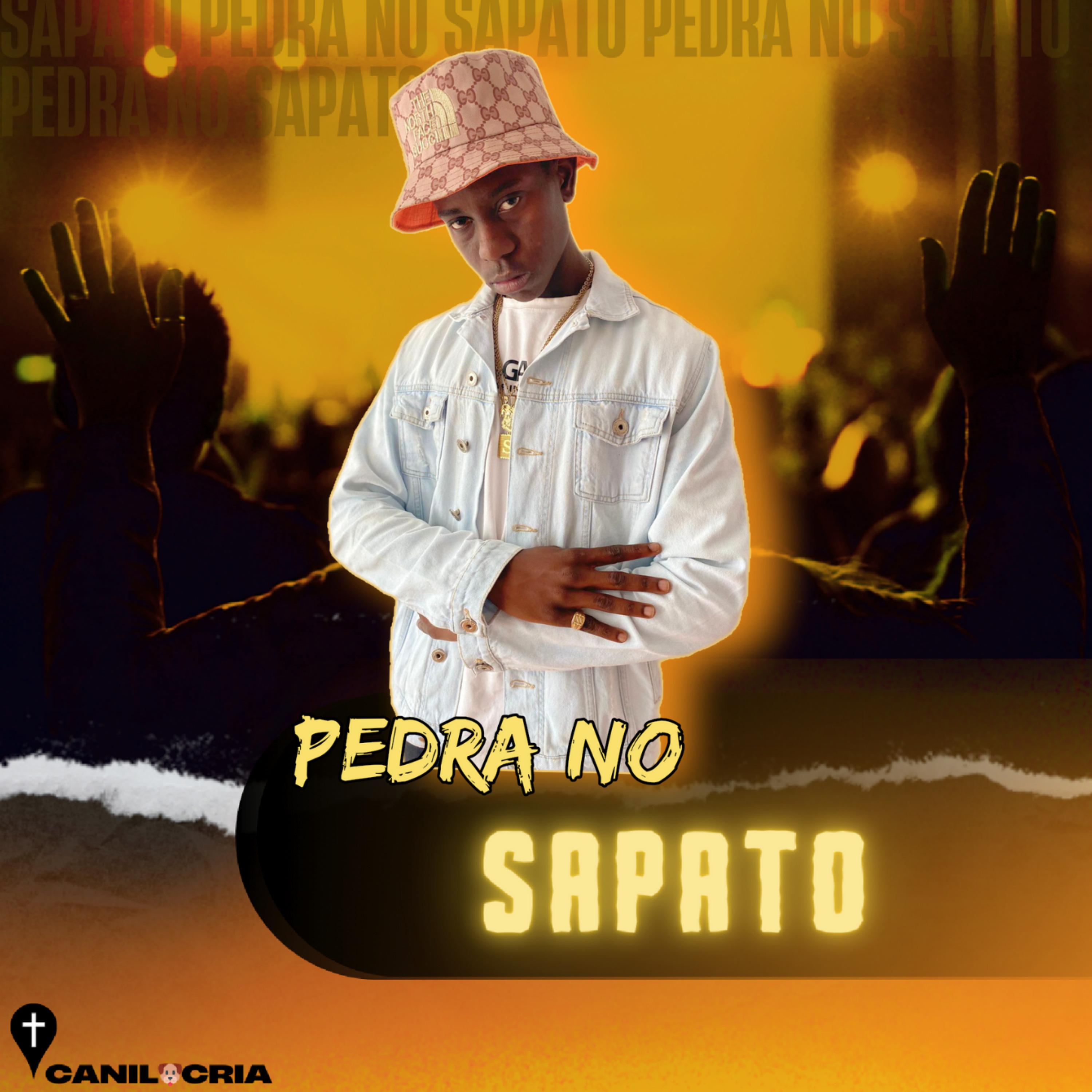 Постер альбома Pedra no Sapato