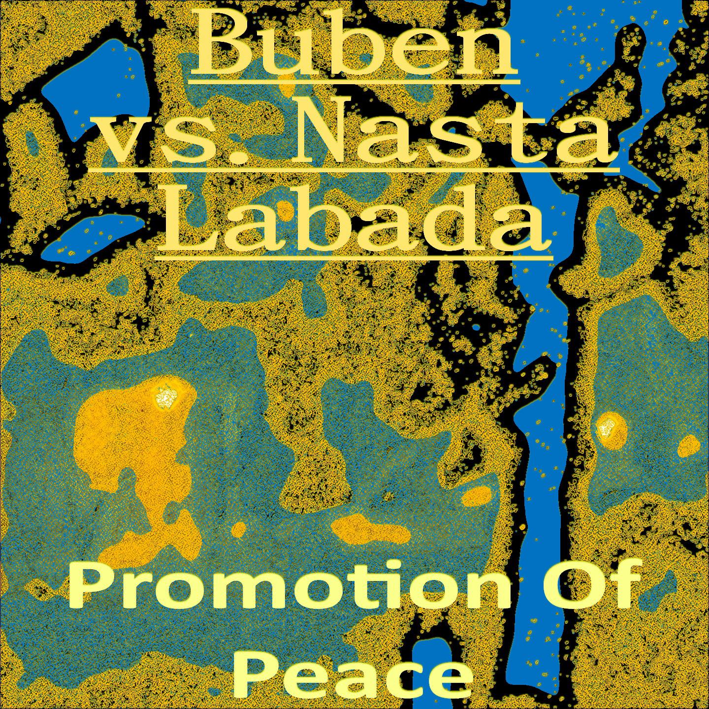 Постер альбома Promotion Of Peace