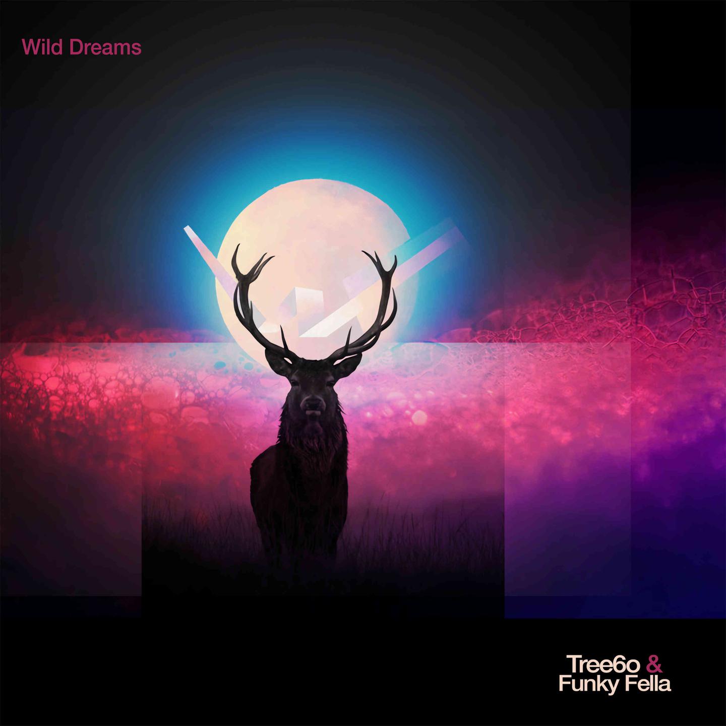 Постер альбома Wild Dreams