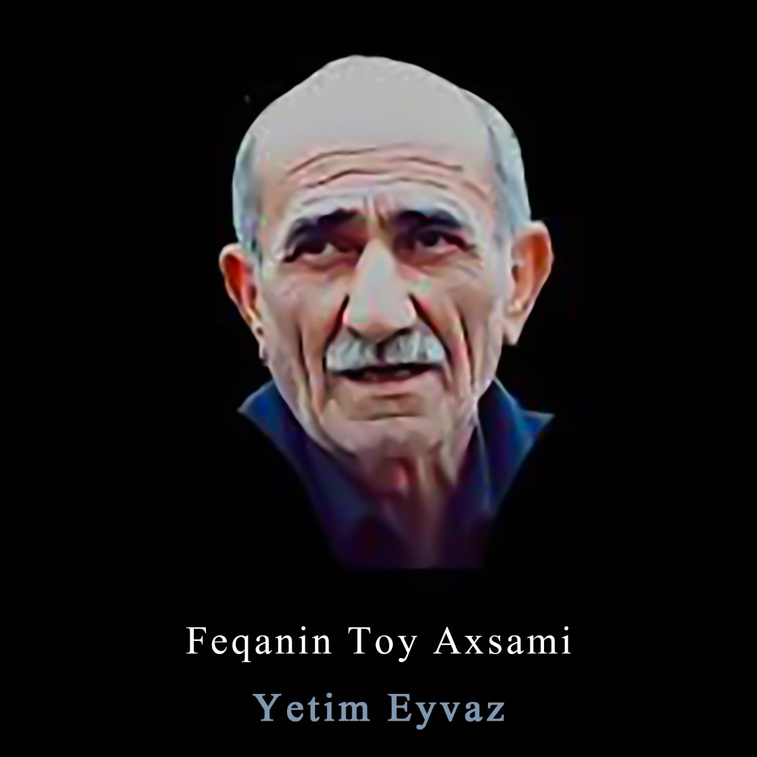 Постер альбома Feqanin Toy Axsami