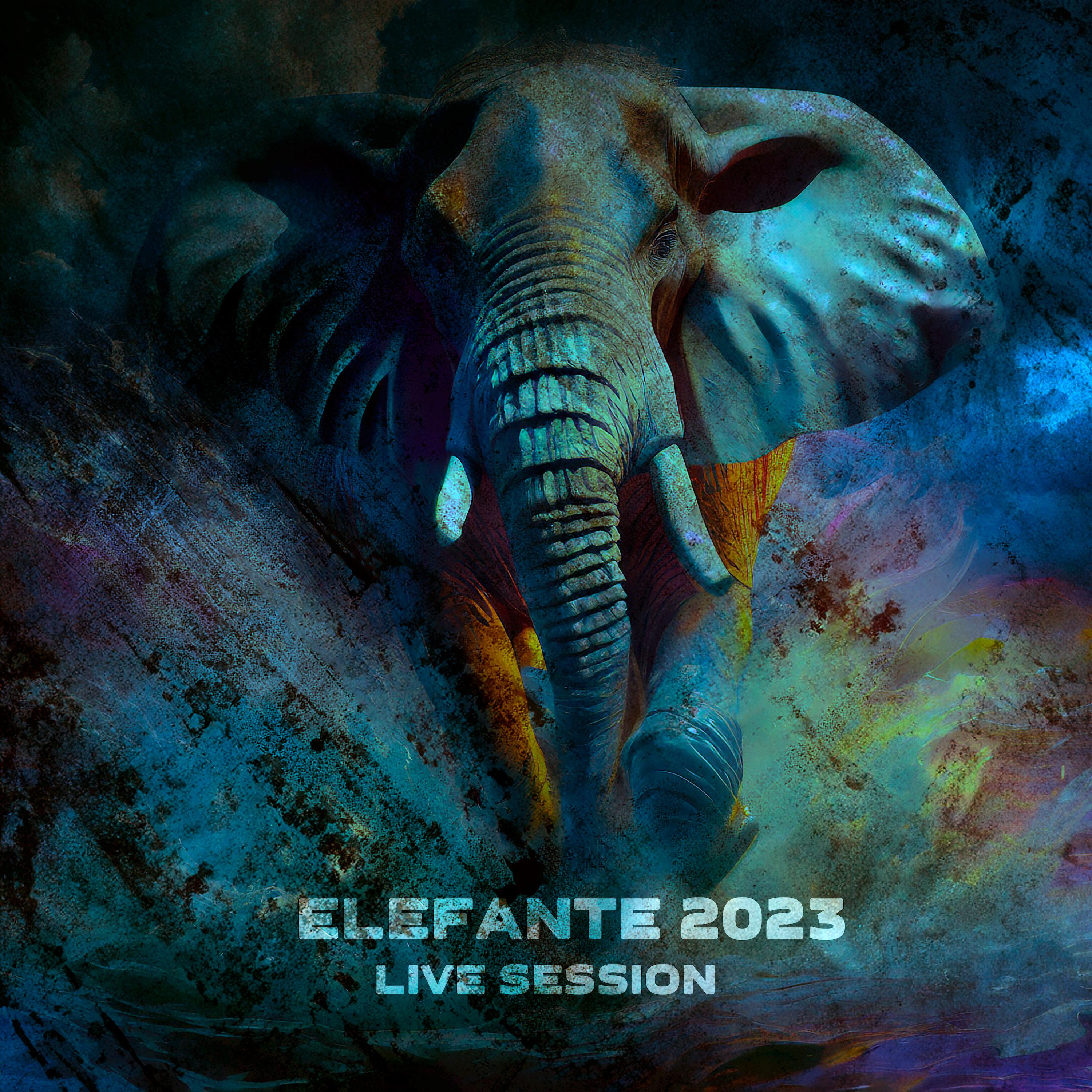 Постер альбома Elefante 2023
