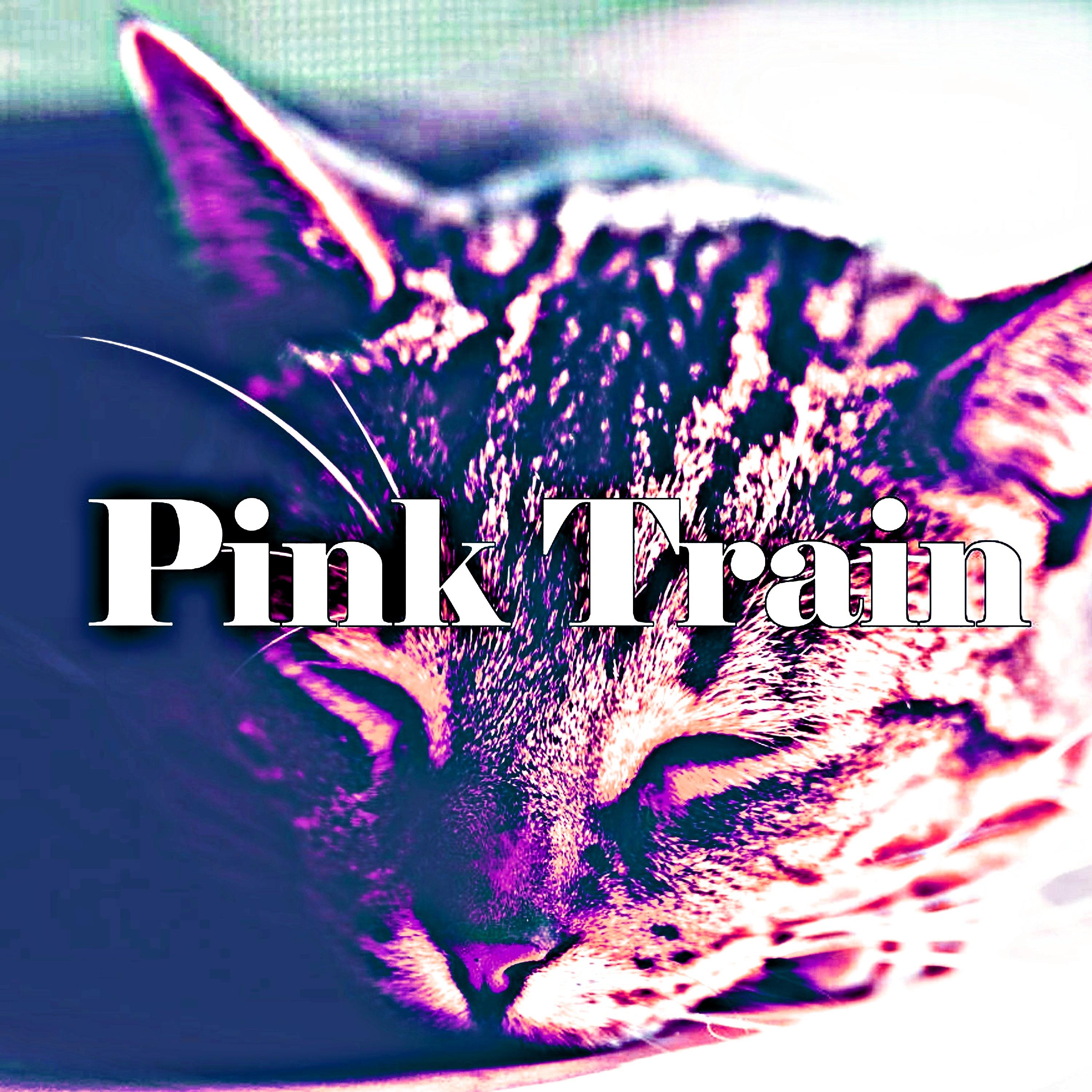 Постер альбома Pink Train