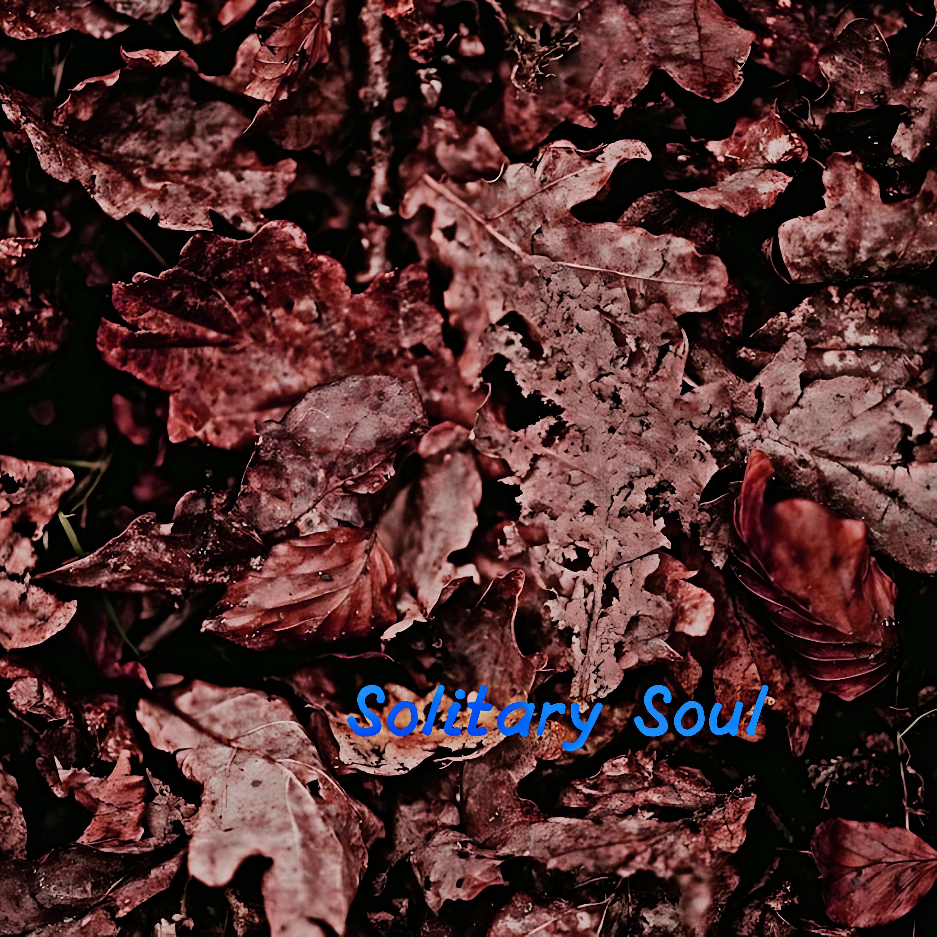 Постер альбома Solitary Soul