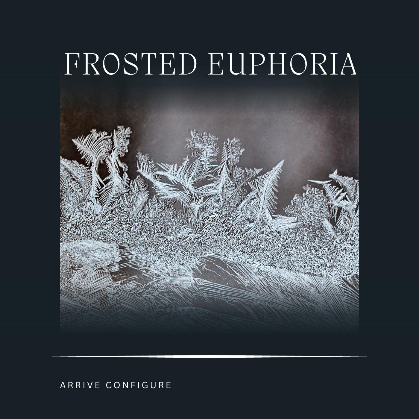Постер альбома Frosted Euphoria