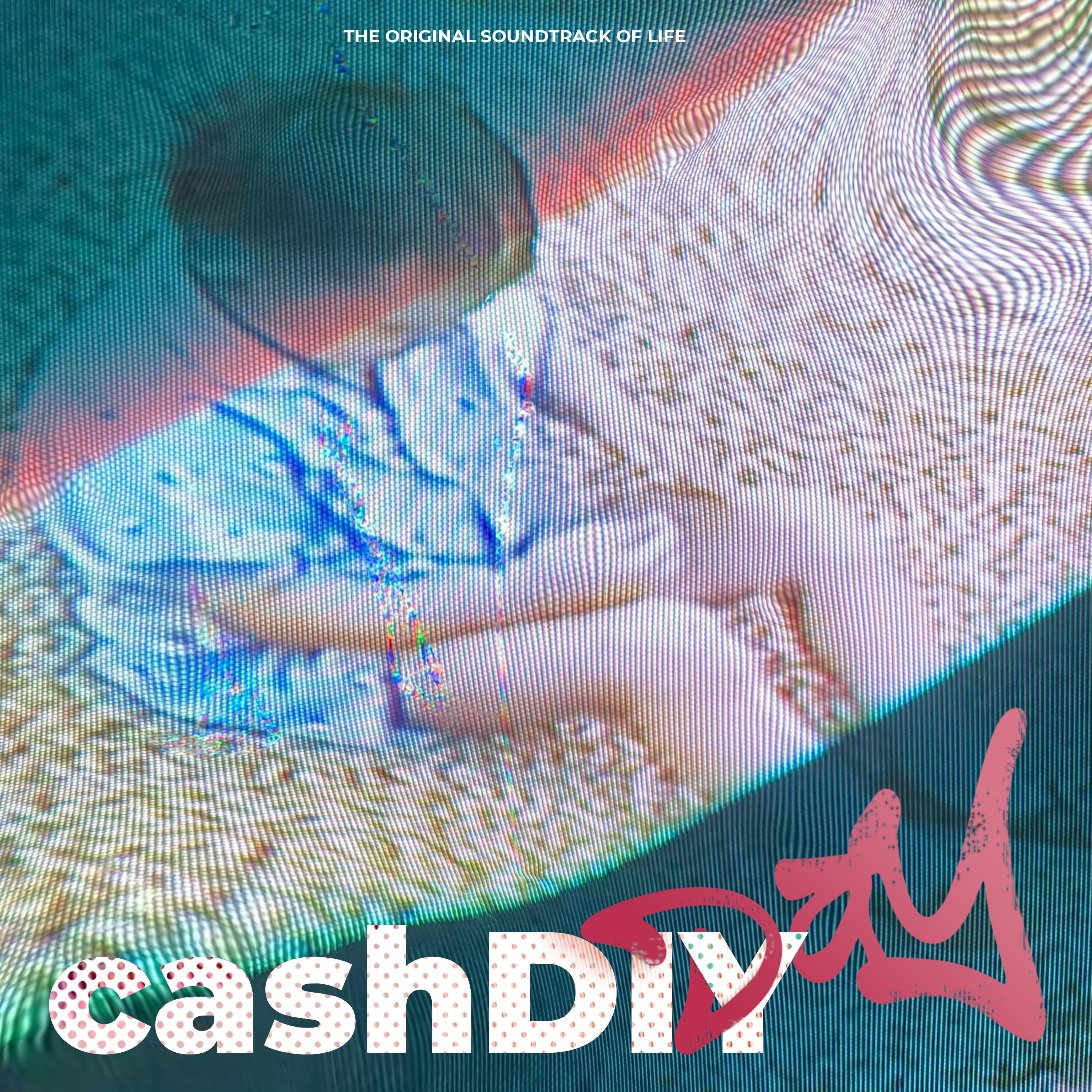 Постер альбома CashDIY Day