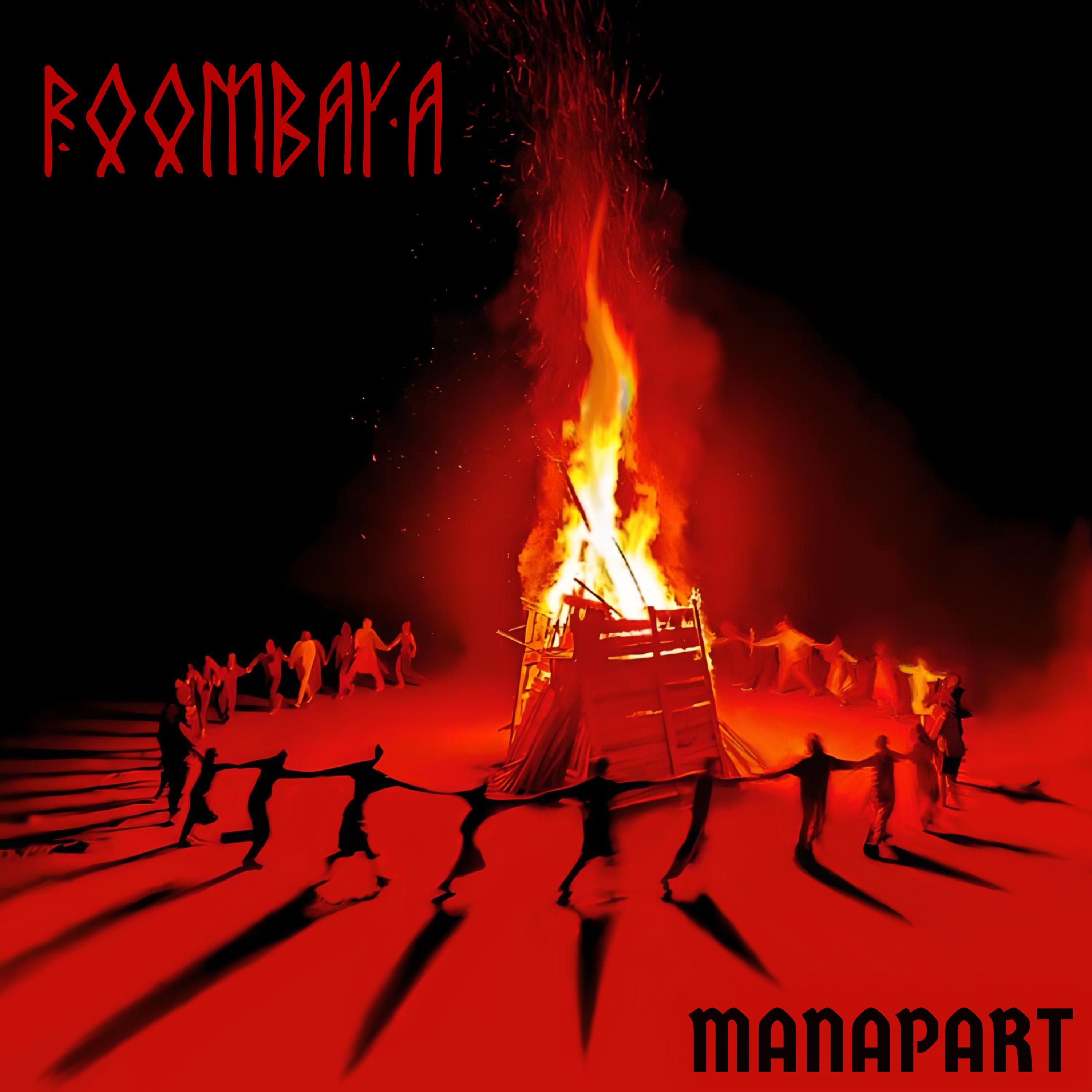 Постер альбома Roombaya