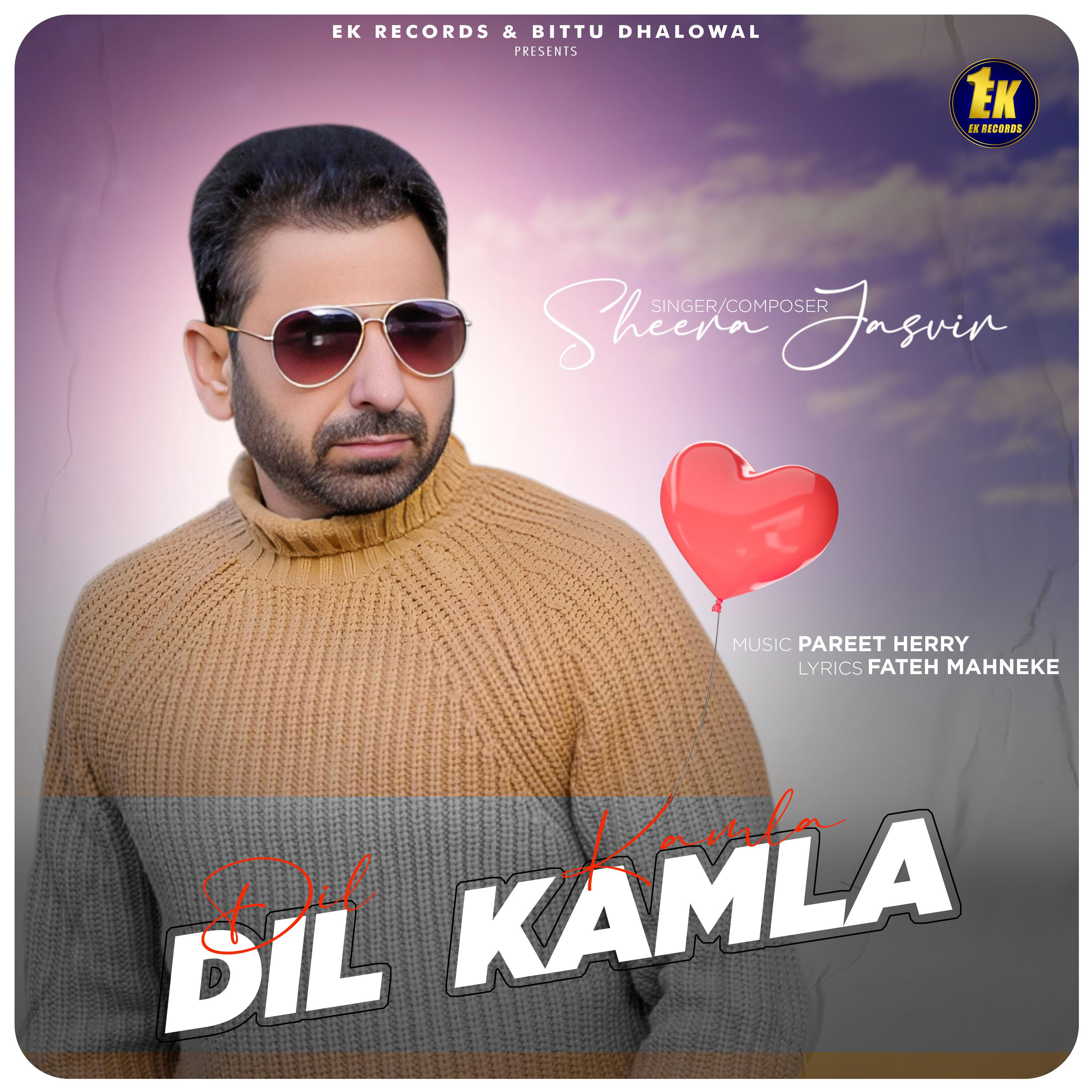 Постер альбома Dil Kamla