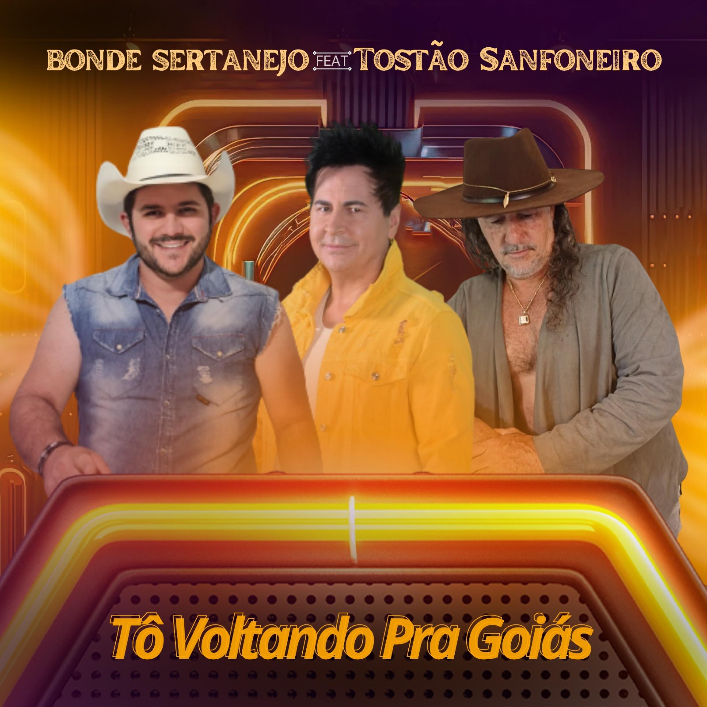 Постер альбома Tô Voltando pra Goiás