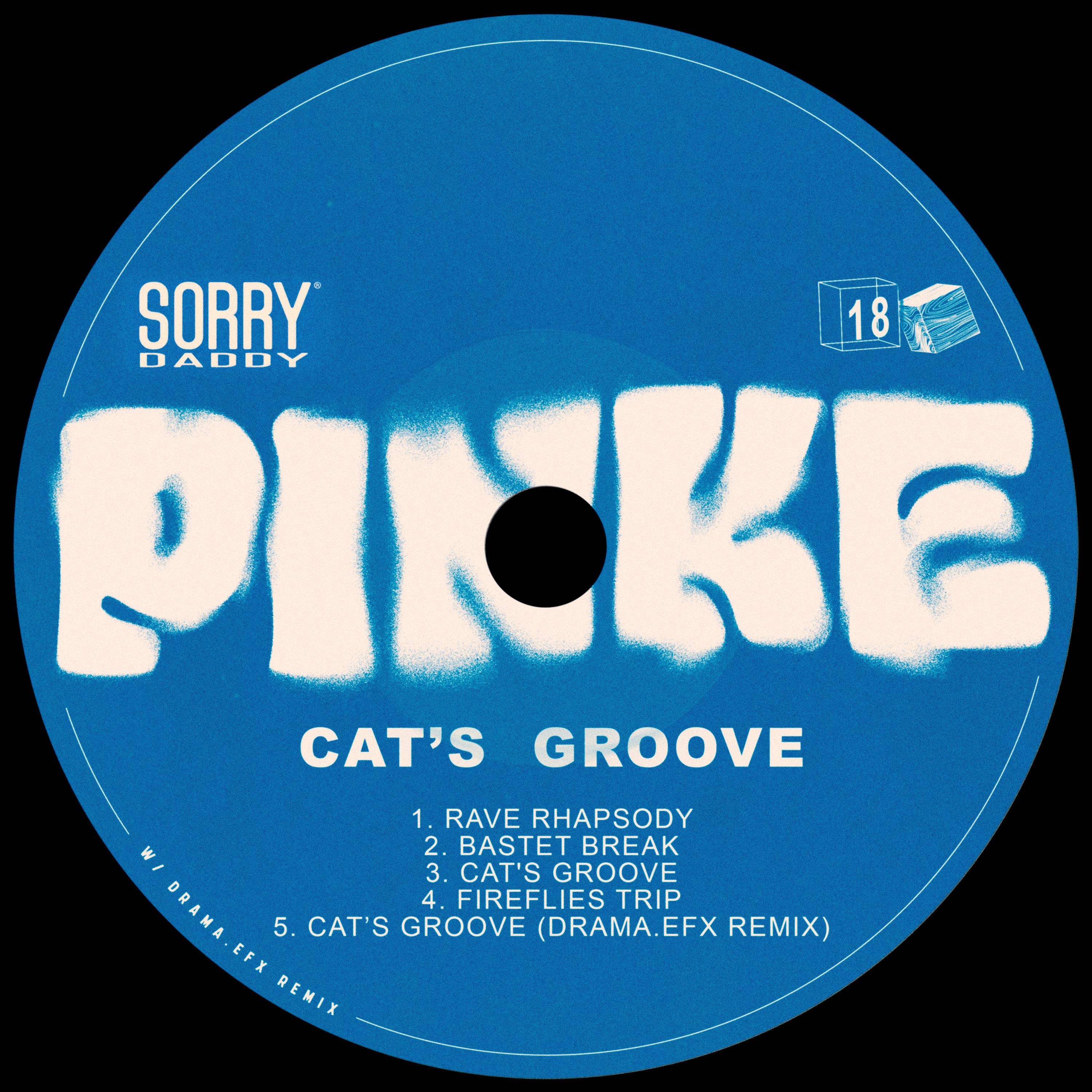 Постер альбома Cat's Groove