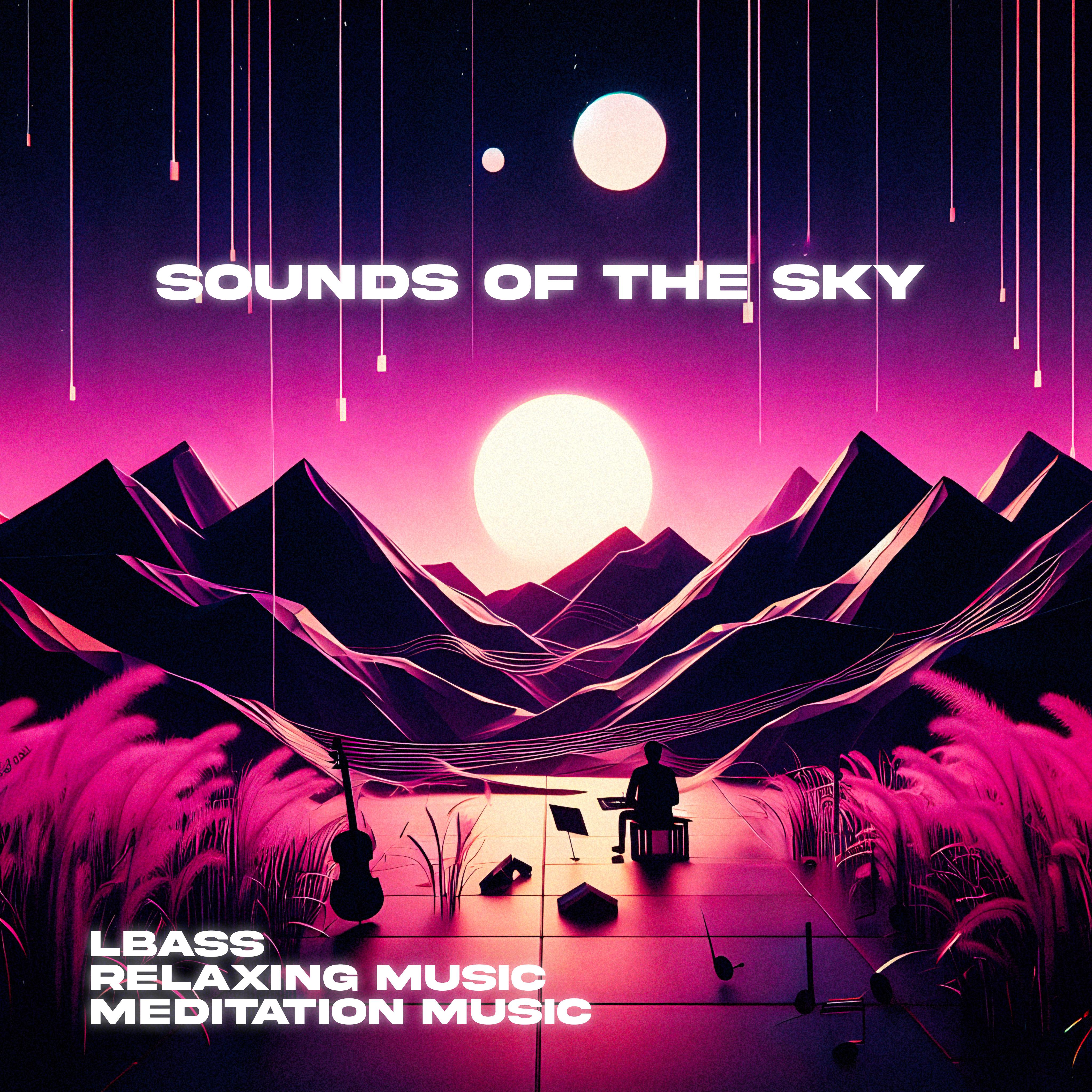 Постер альбома Sounds of the Sky