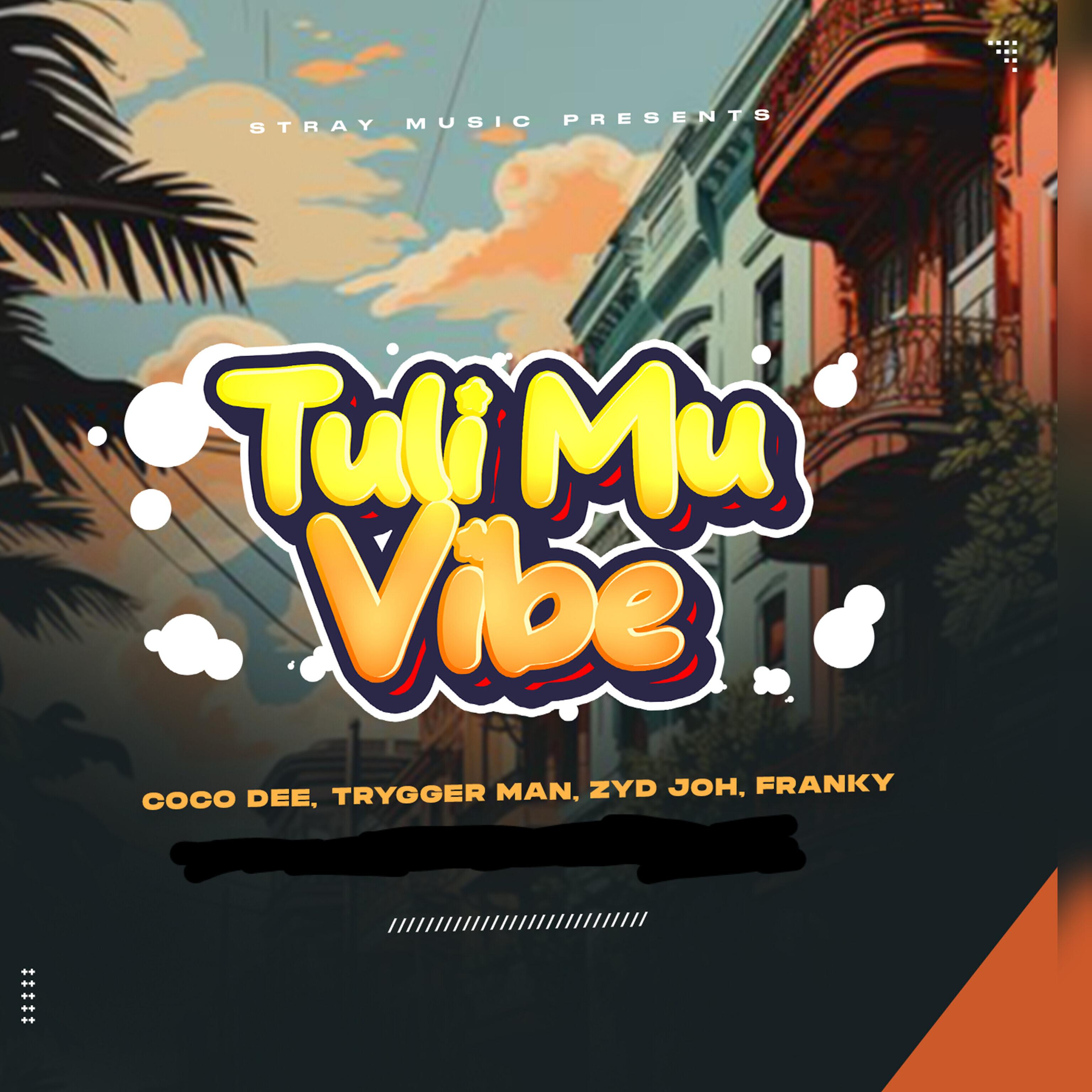 Постер альбома Tuli Mu Vibe