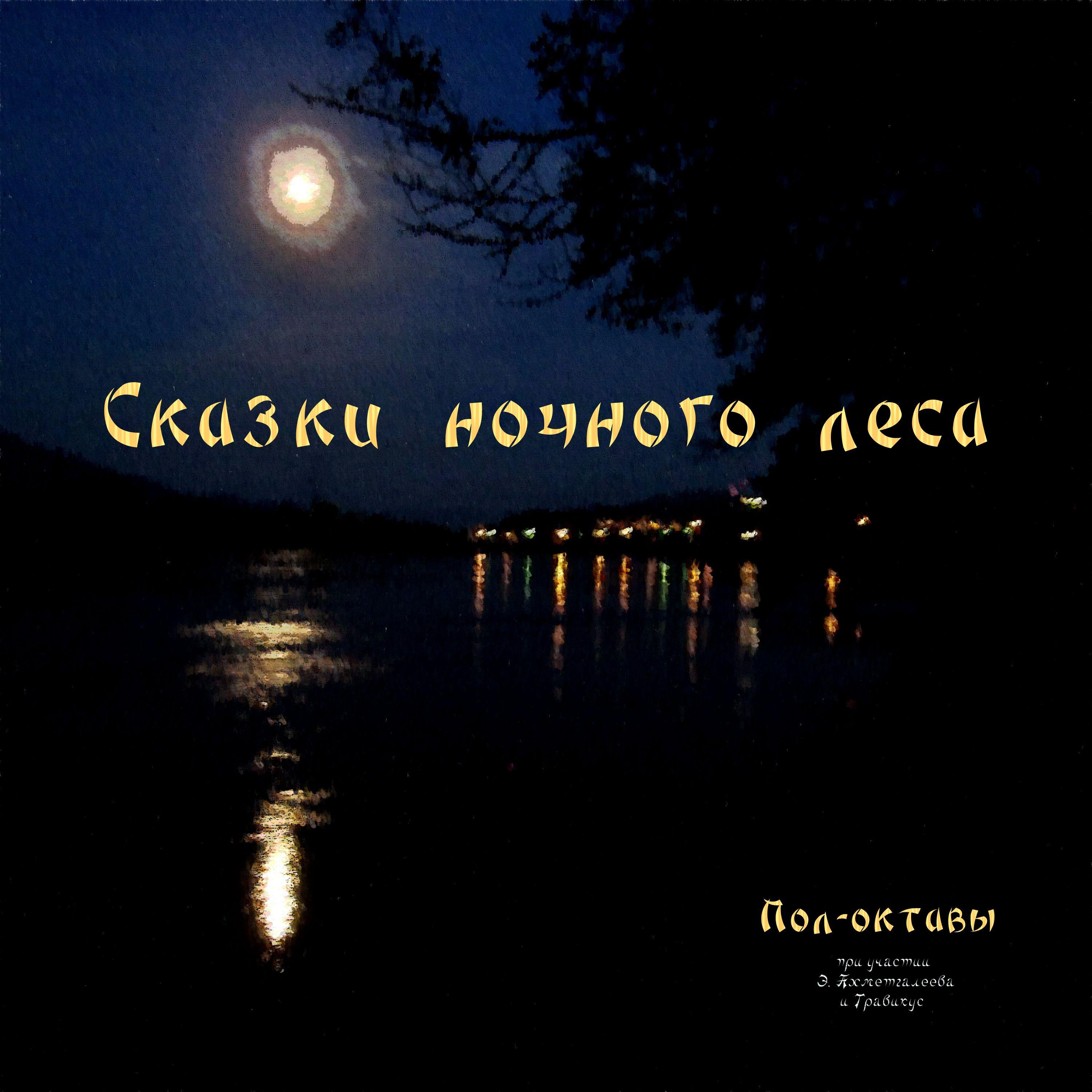 Постер альбома Сказки ночного леса