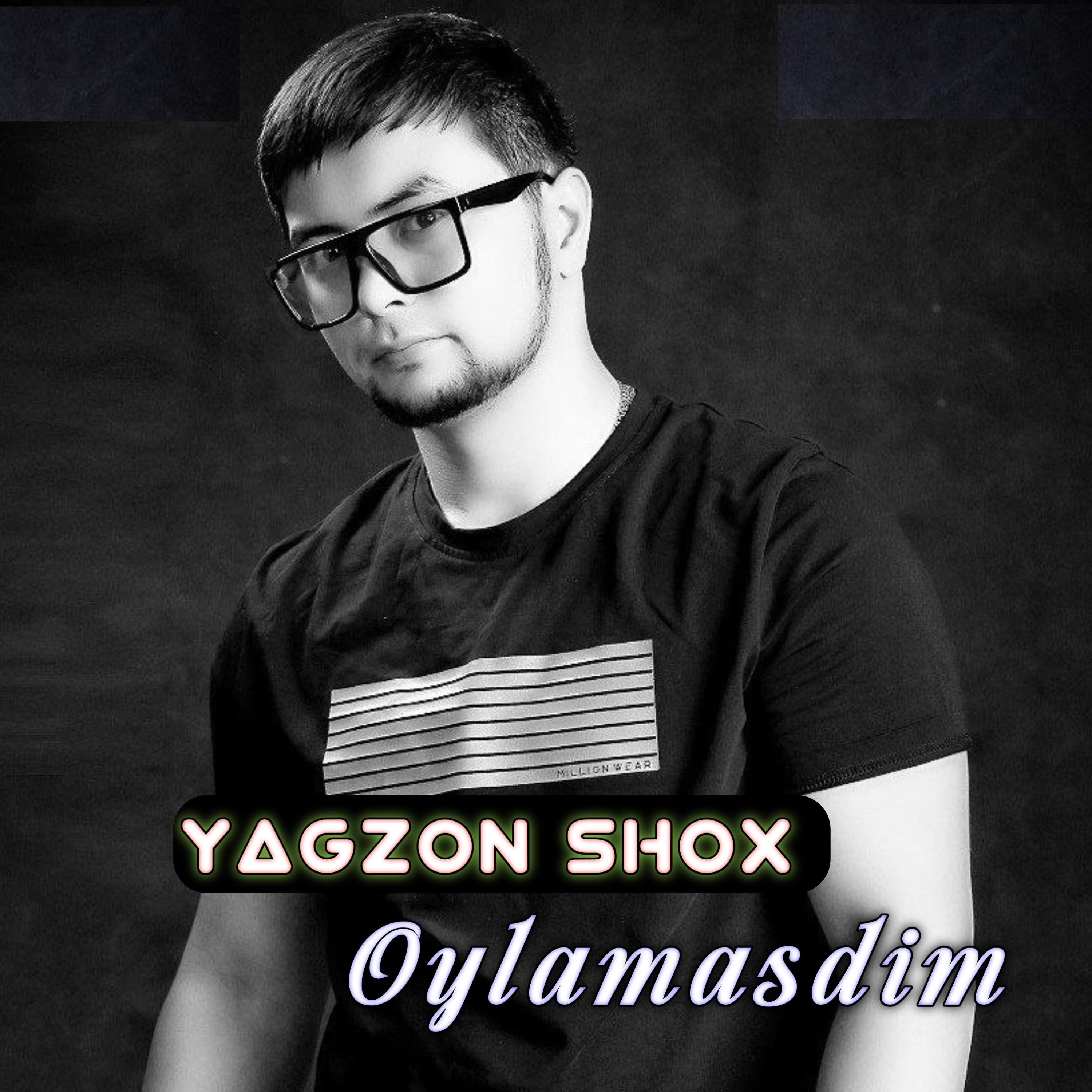 Постер альбома Oylamasdim