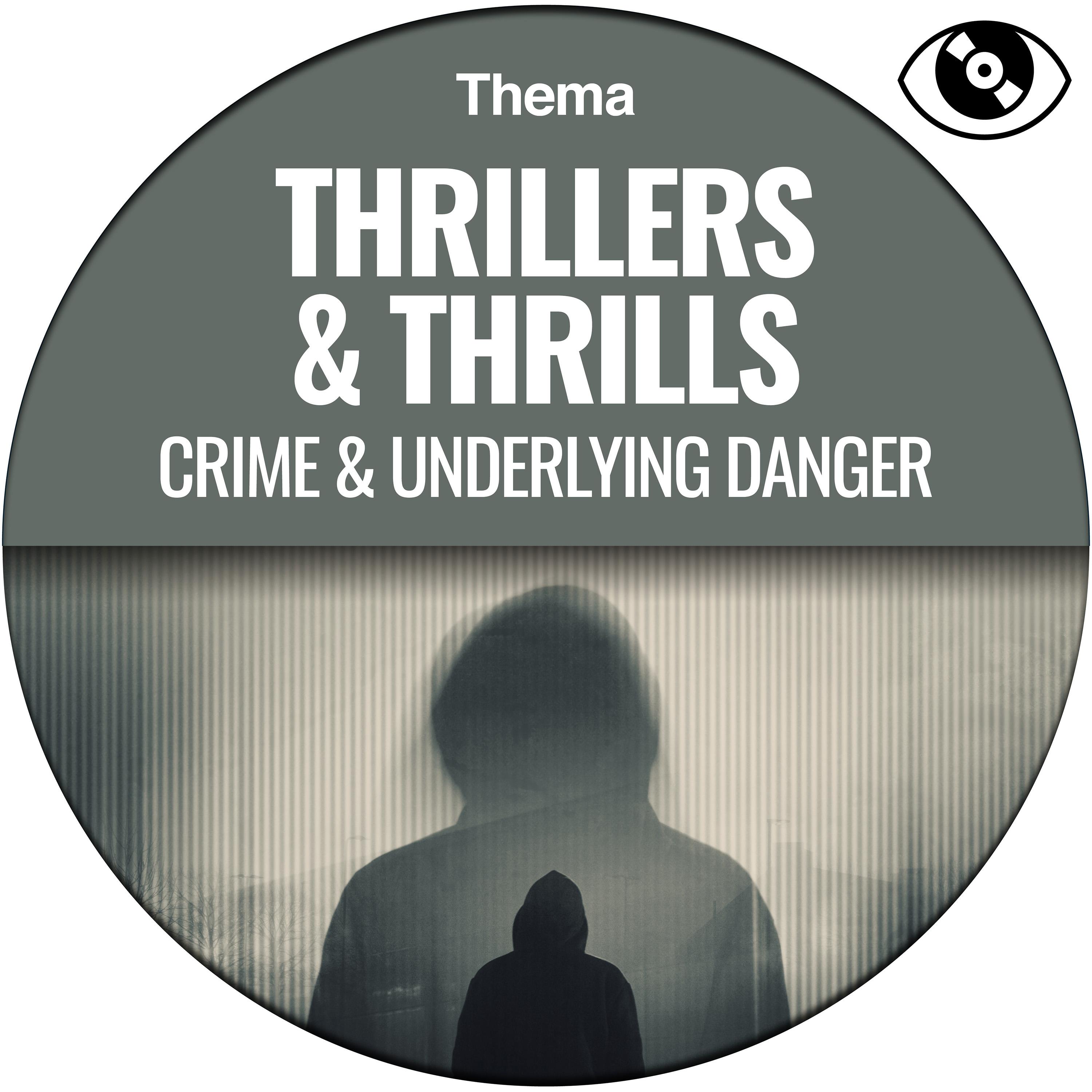 Постер альбома Thrillers & Thrills