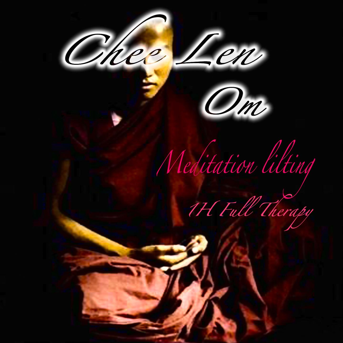 Постер альбома Om Meditation Lilting (1h Full Therapy)