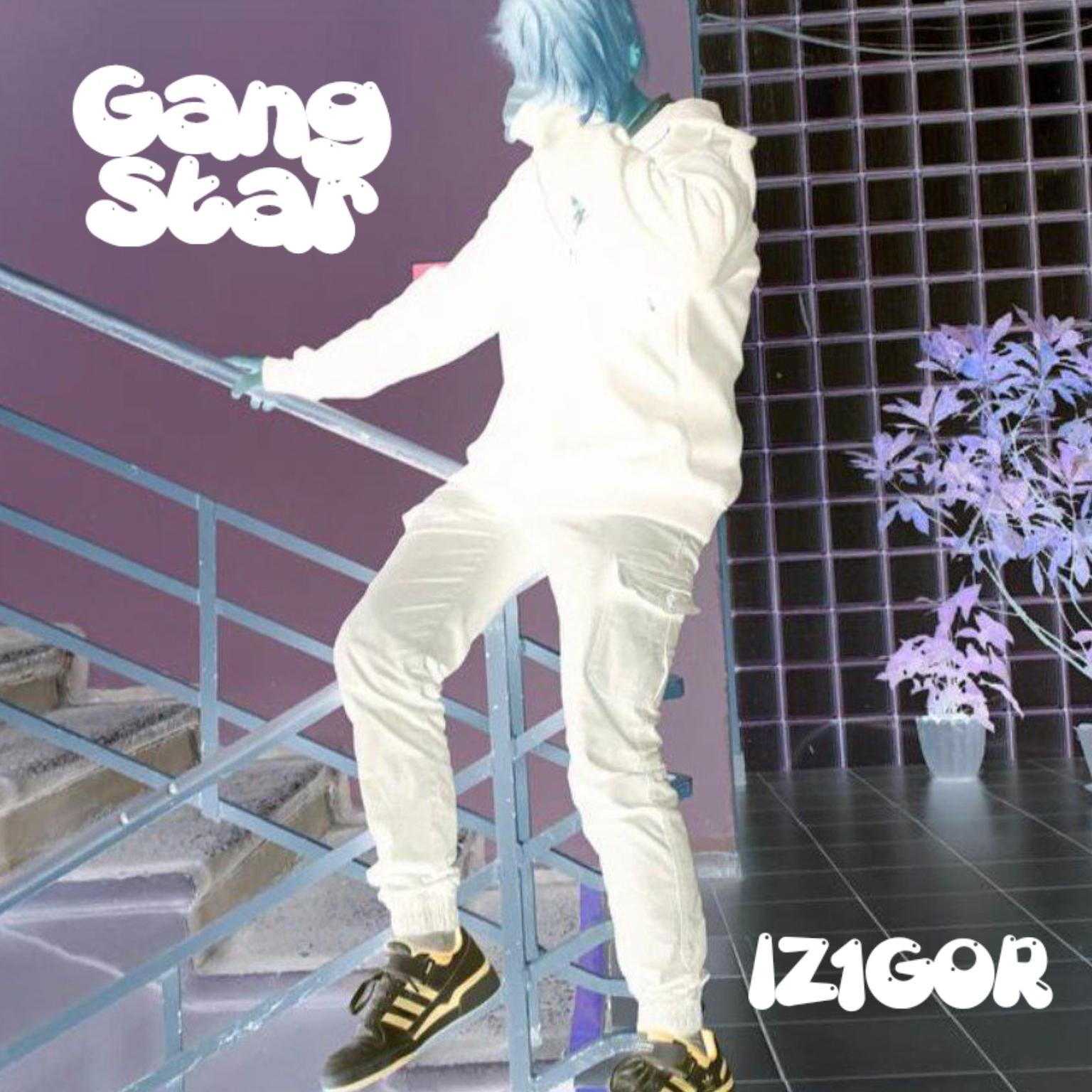 Постер альбома Gang Star
