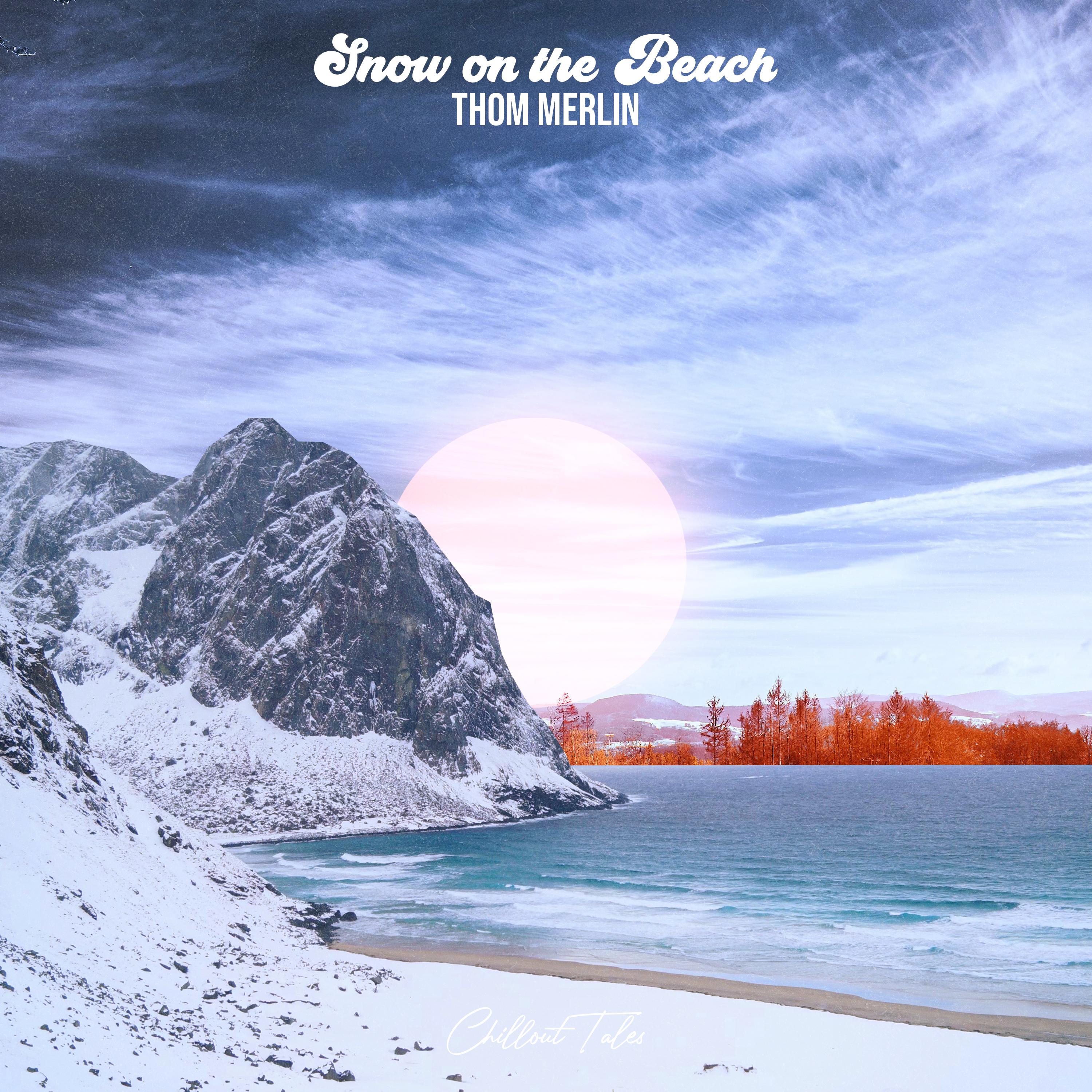 Постер альбома Snow On The Beach