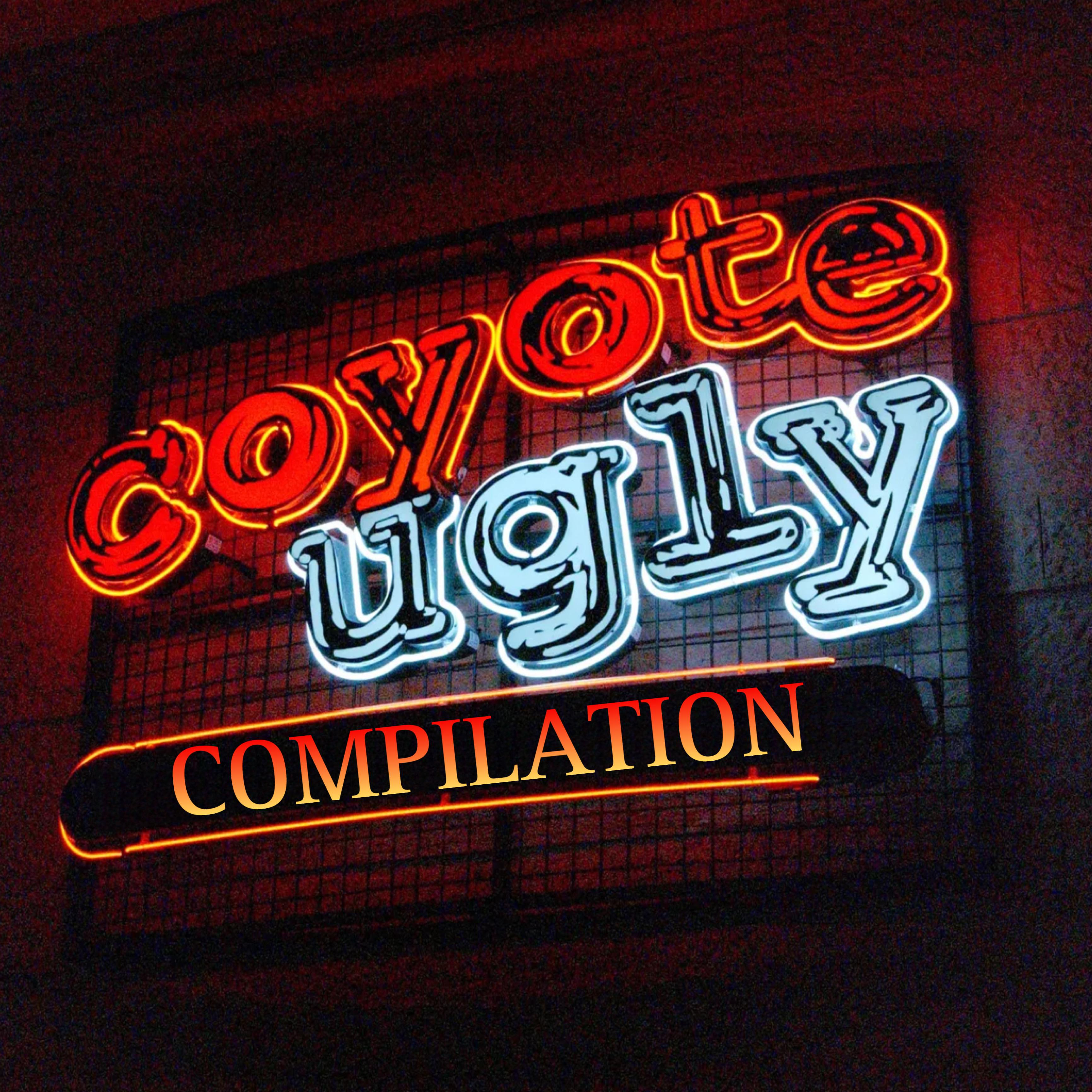 Постер альбома Coyote Ugly Soundtrack