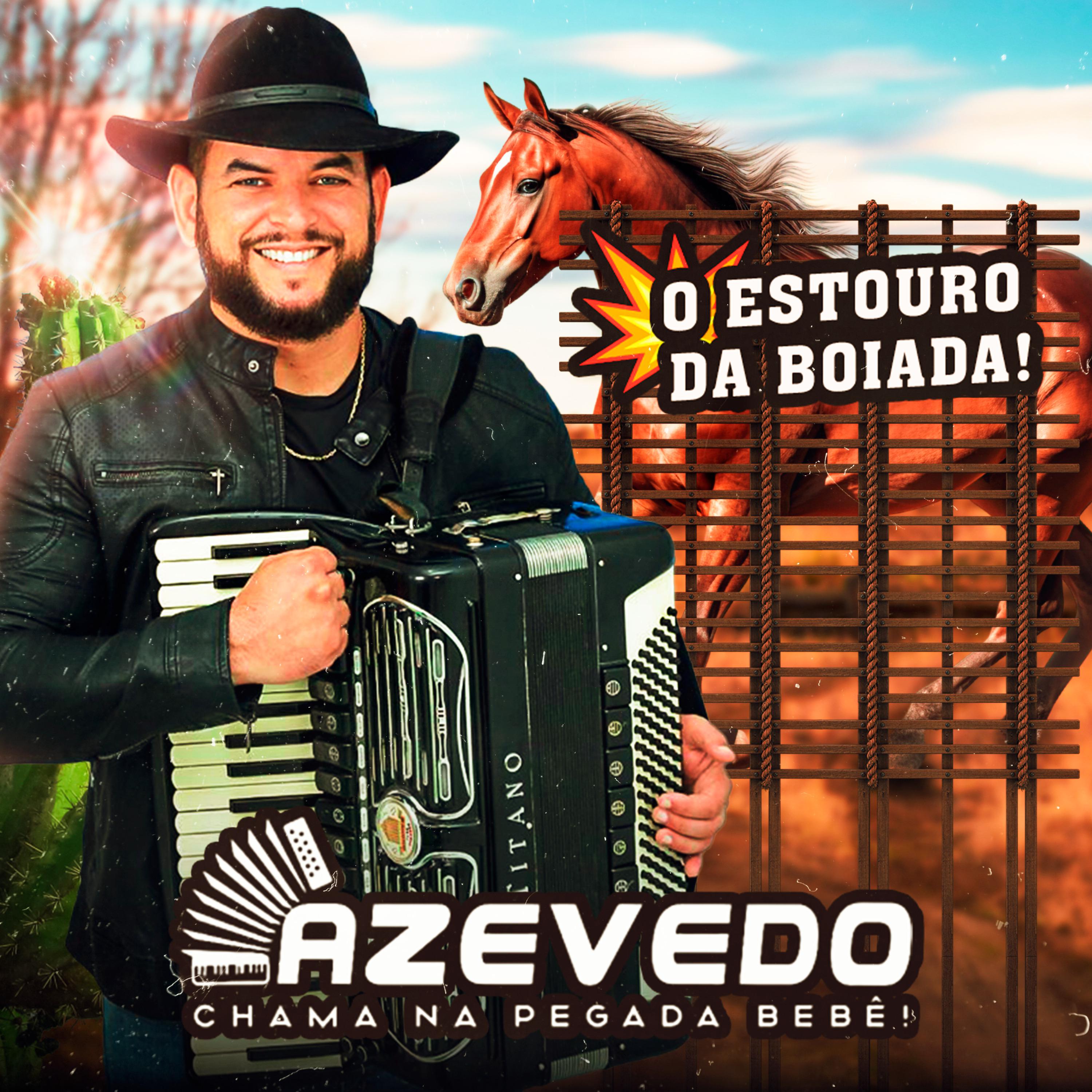 Постер альбома O Estouro da Boiada