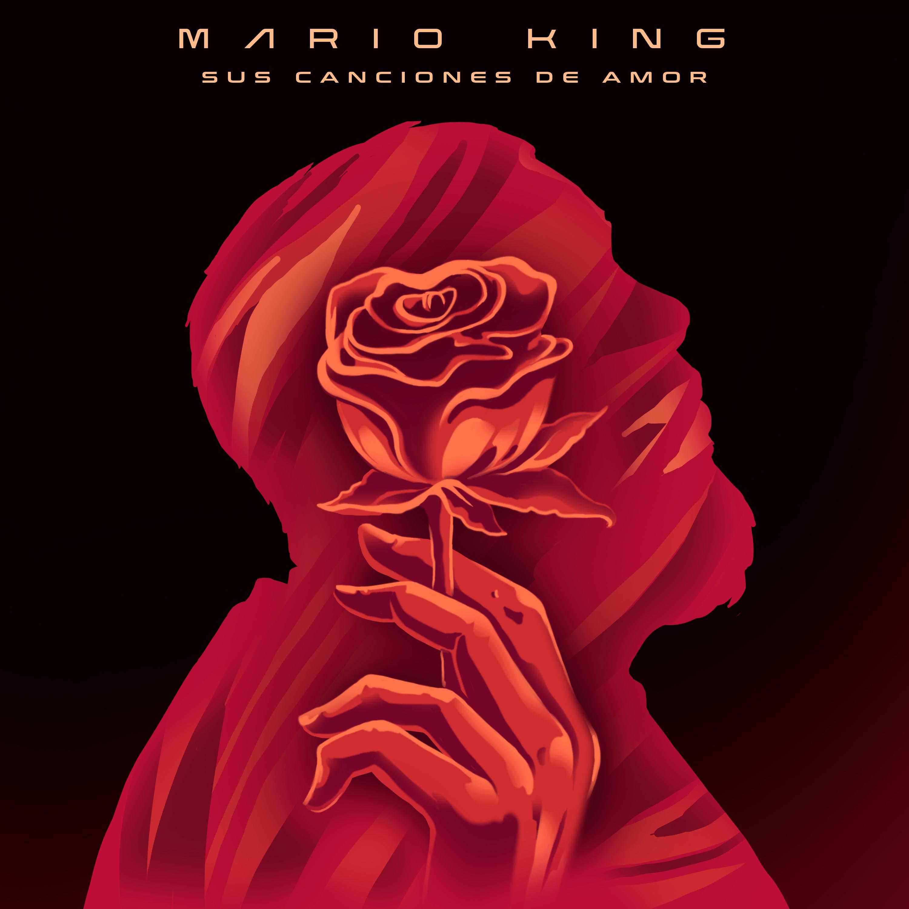 Постер альбома Sus canciones de amor