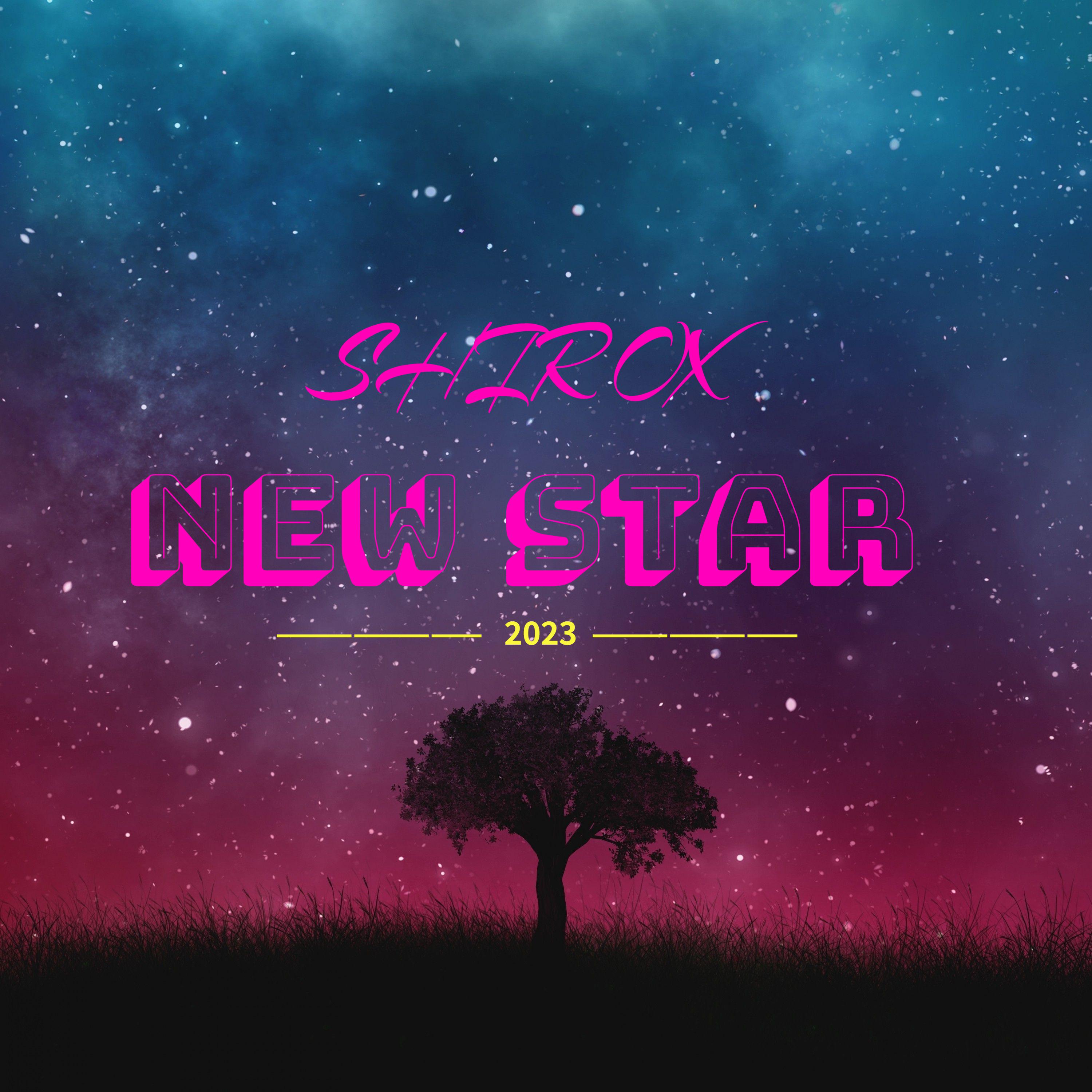 Постер альбома New Star