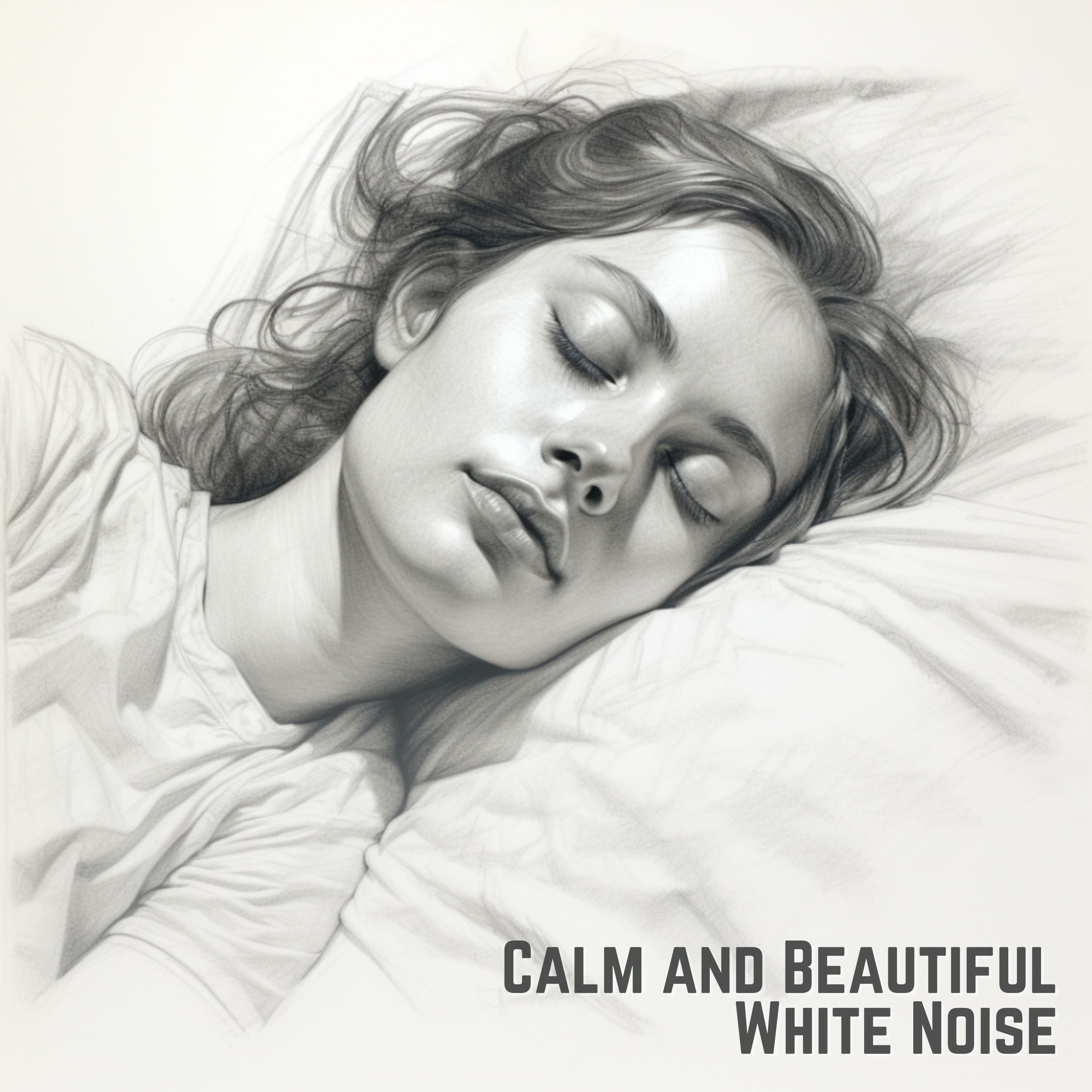 Постер альбома Calm and Beautiful White Noise
