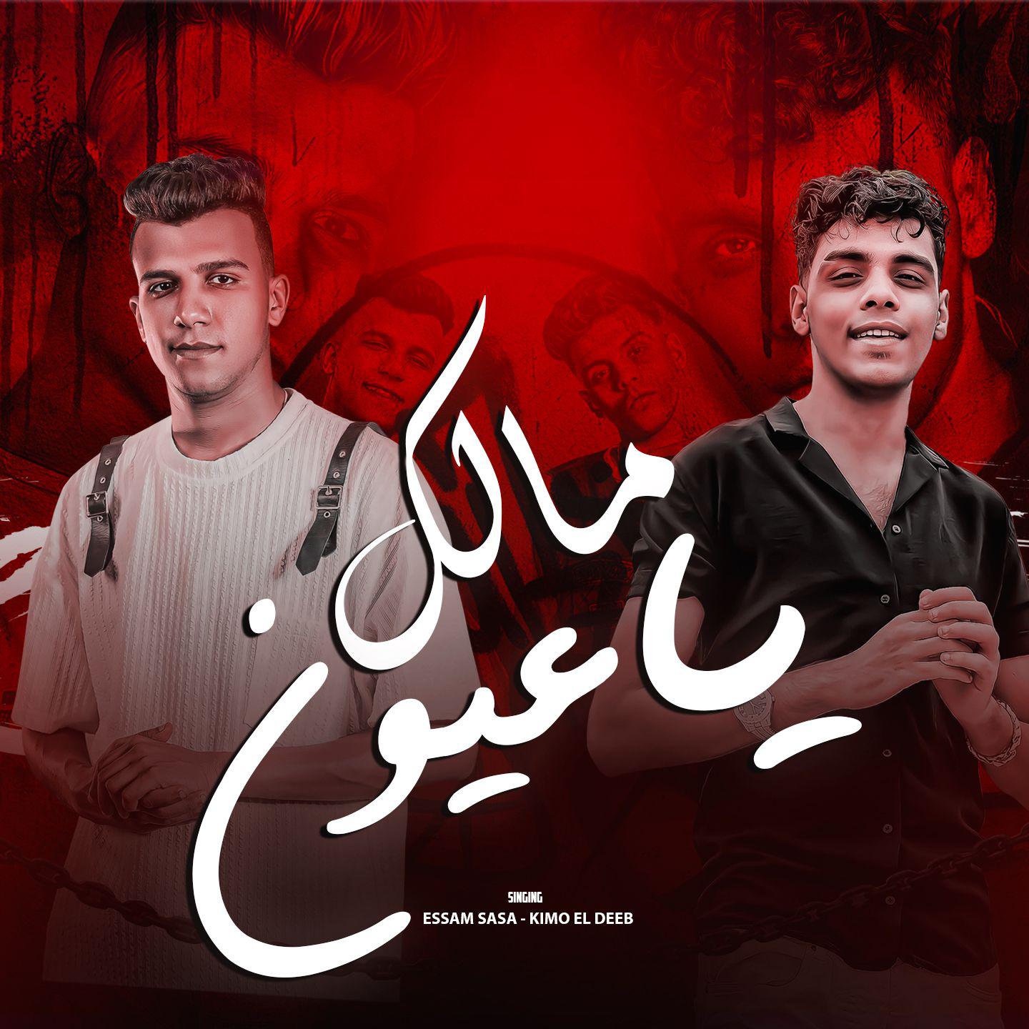 Постер альбома مالك يا عيون