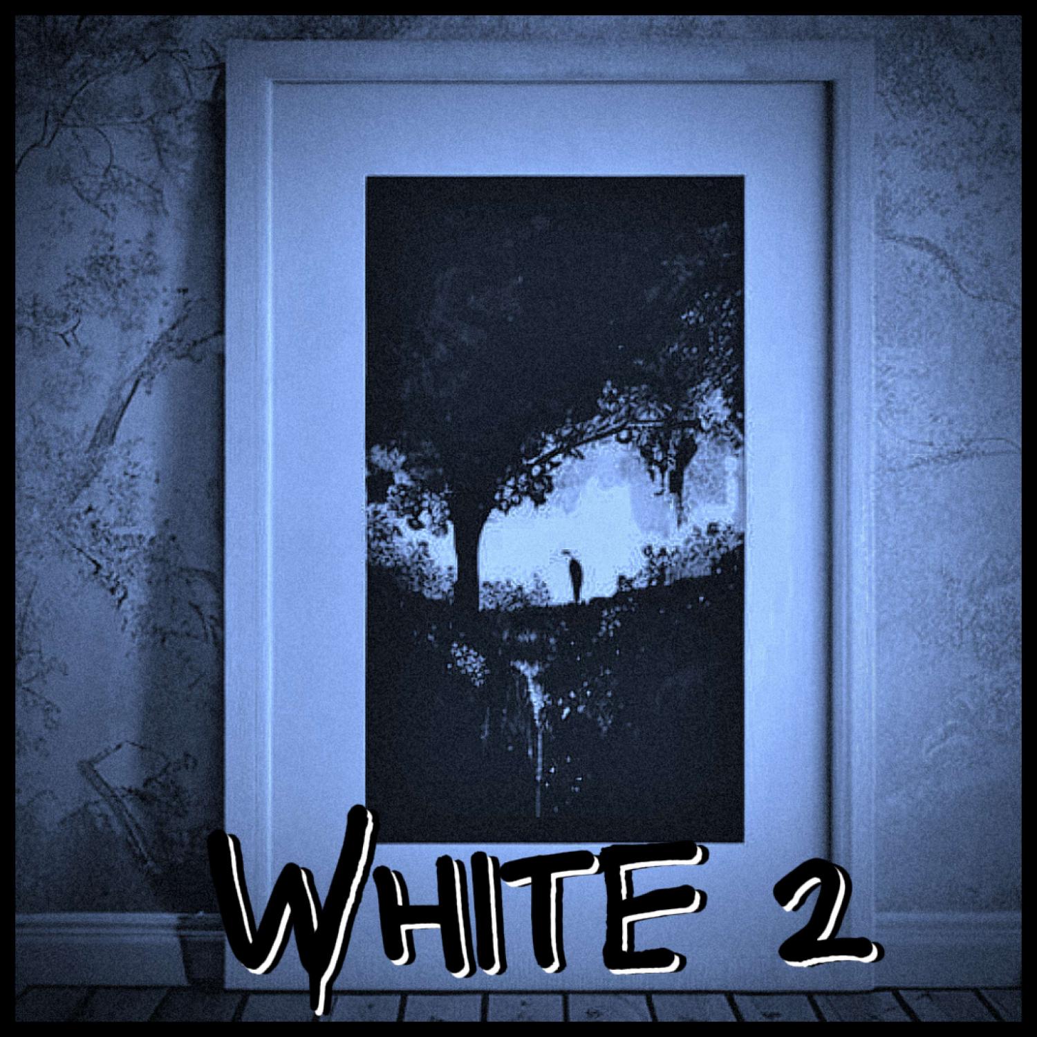 Постер альбома White 2