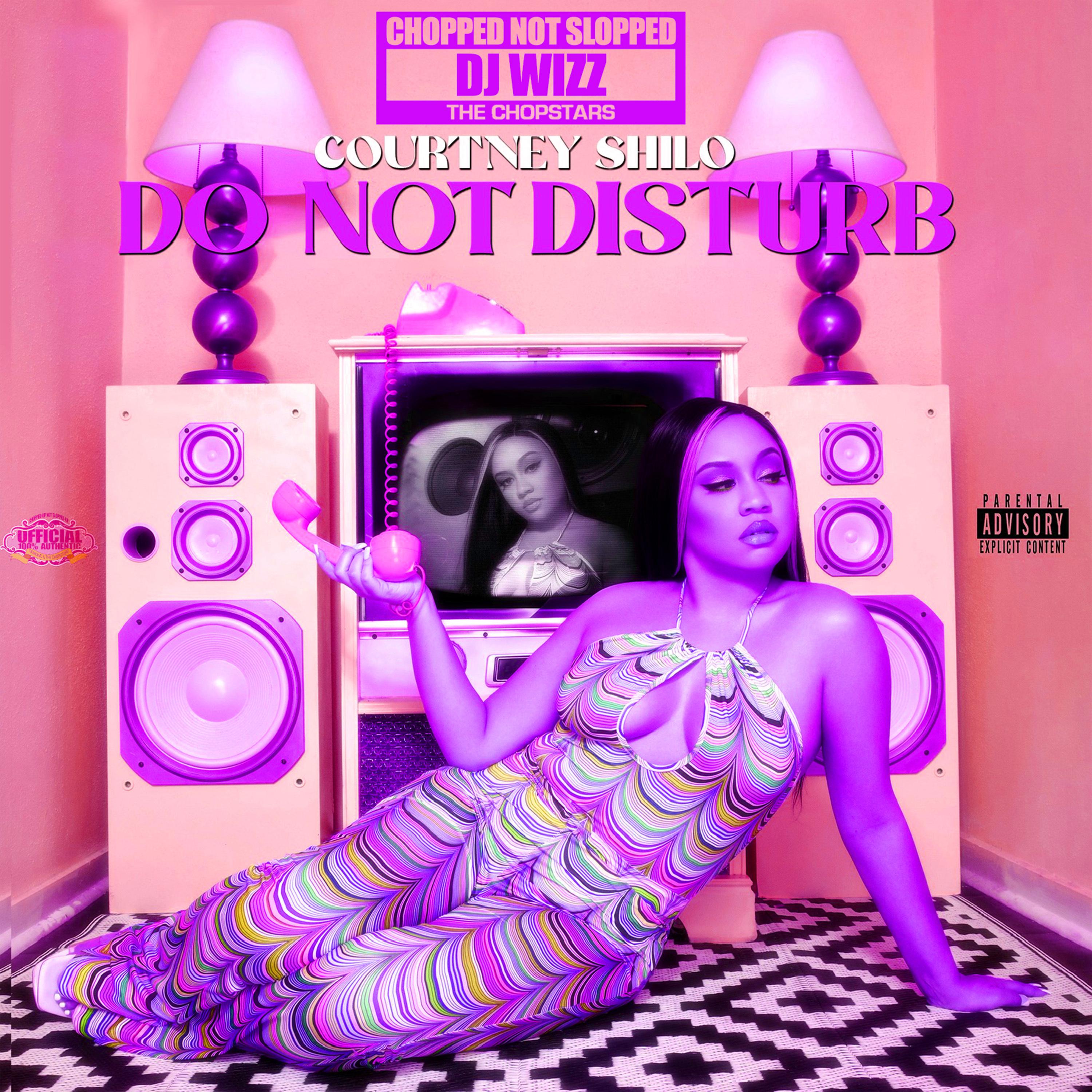 Постер альбома Do Not Disturb