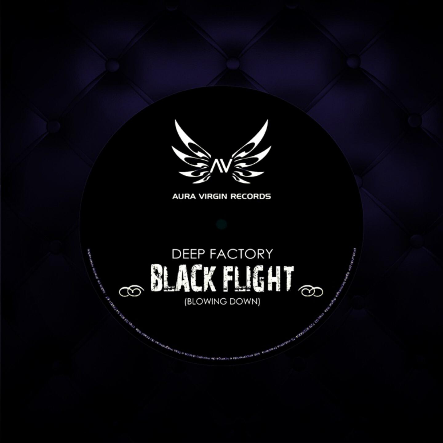 Deep Factory - Black Flight (Blowing Down)