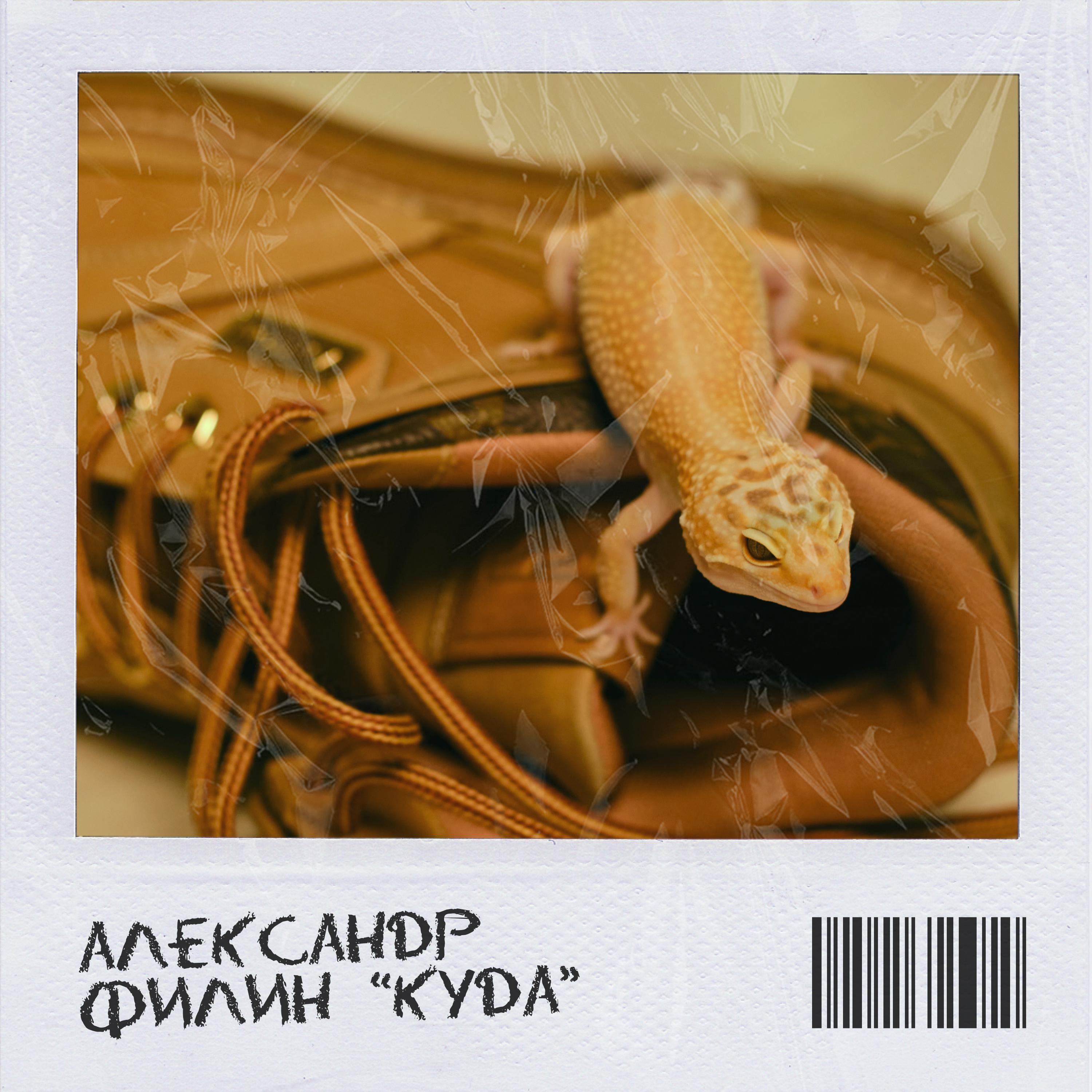Постер альбома КУДА (Prod. by VIBESXUND)