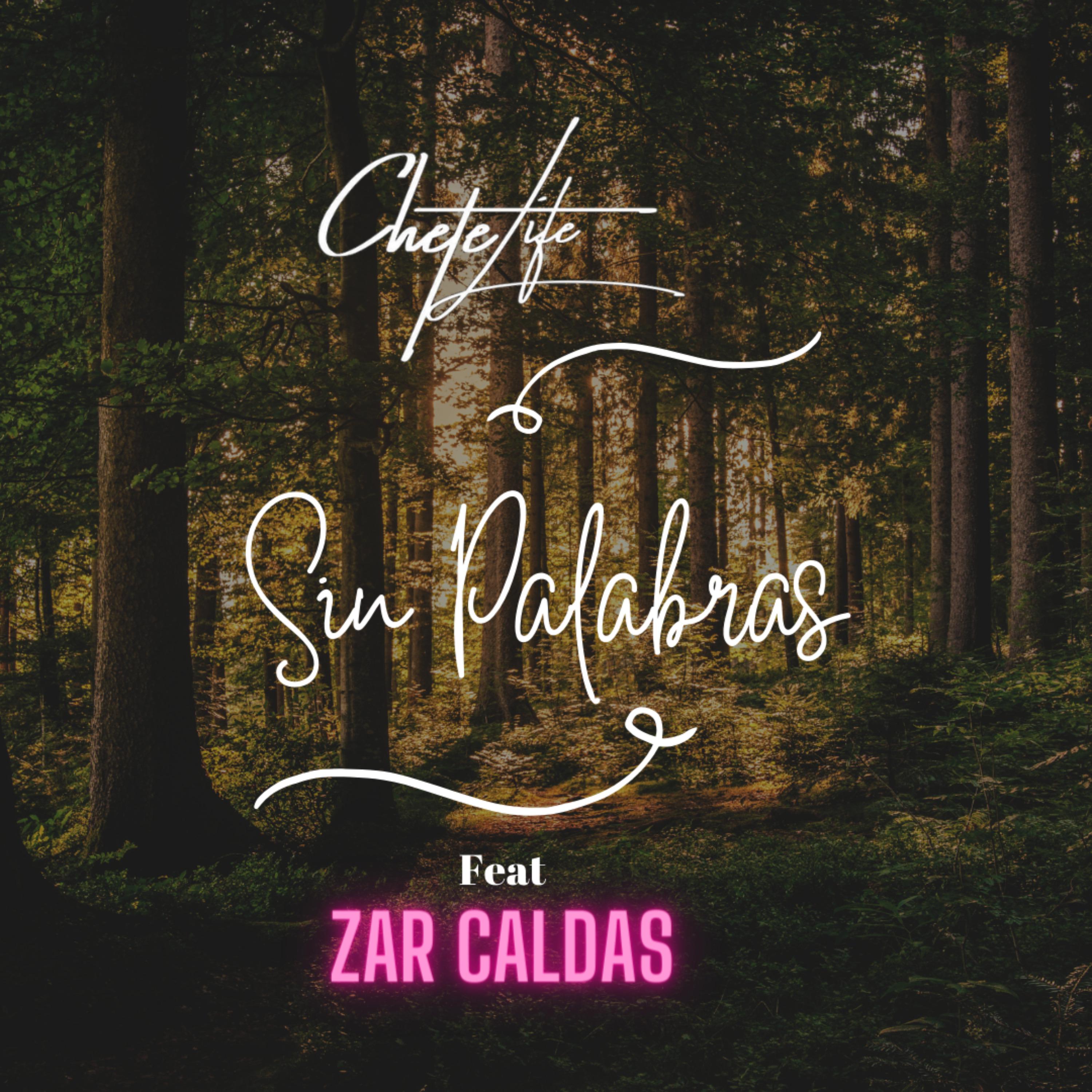 Постер альбома Sin Palabras