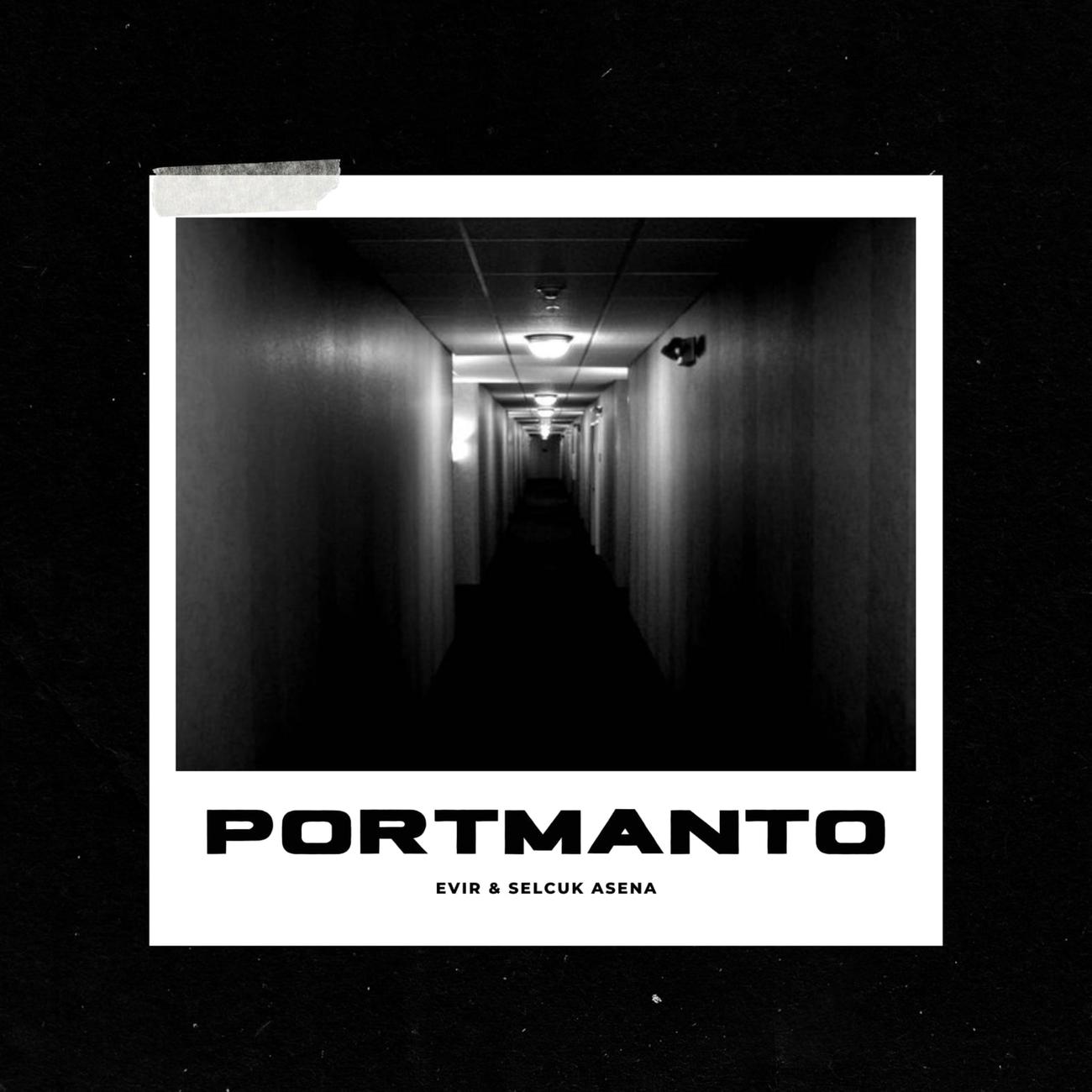 Постер альбома Portmanto