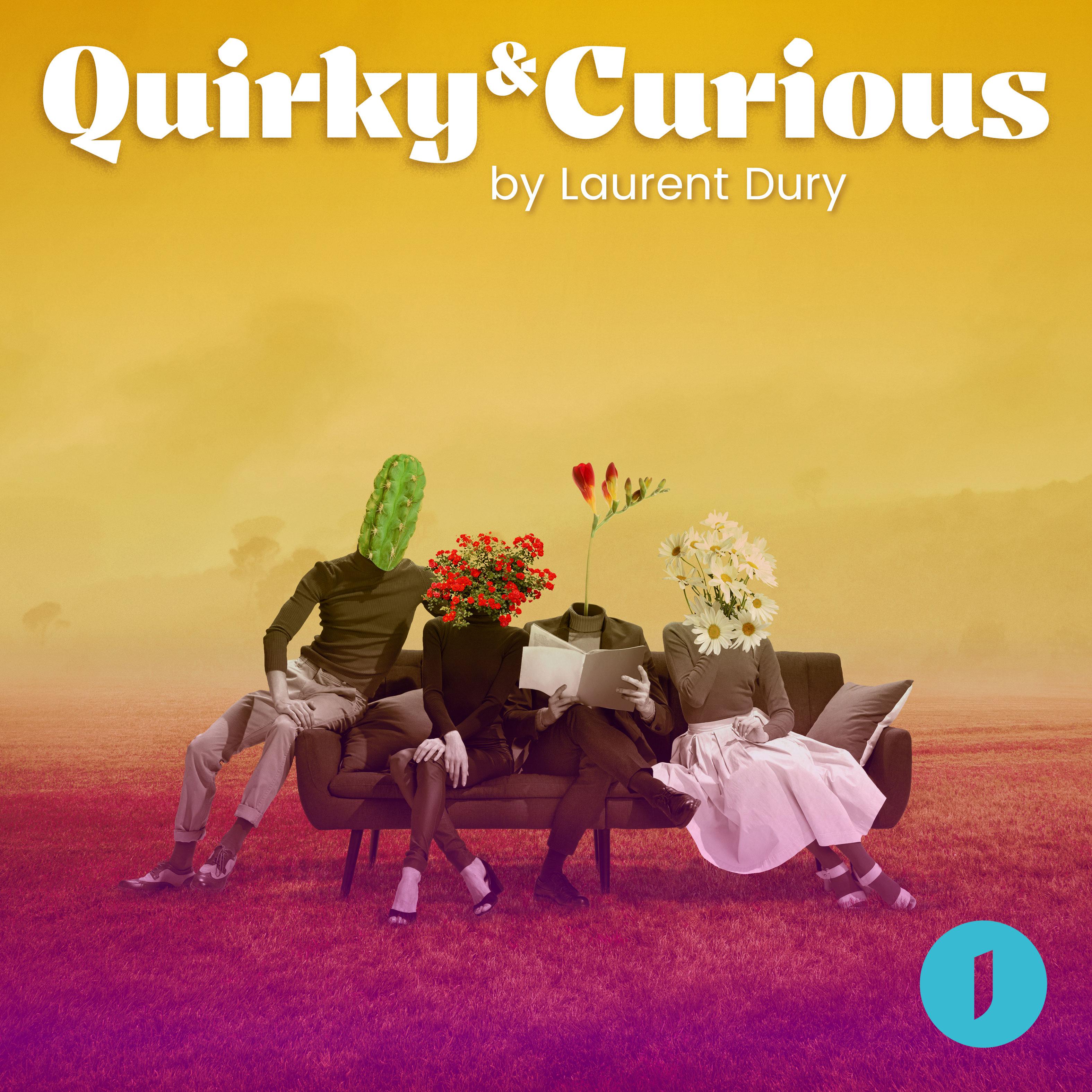 Постер альбома Quirky & Curious