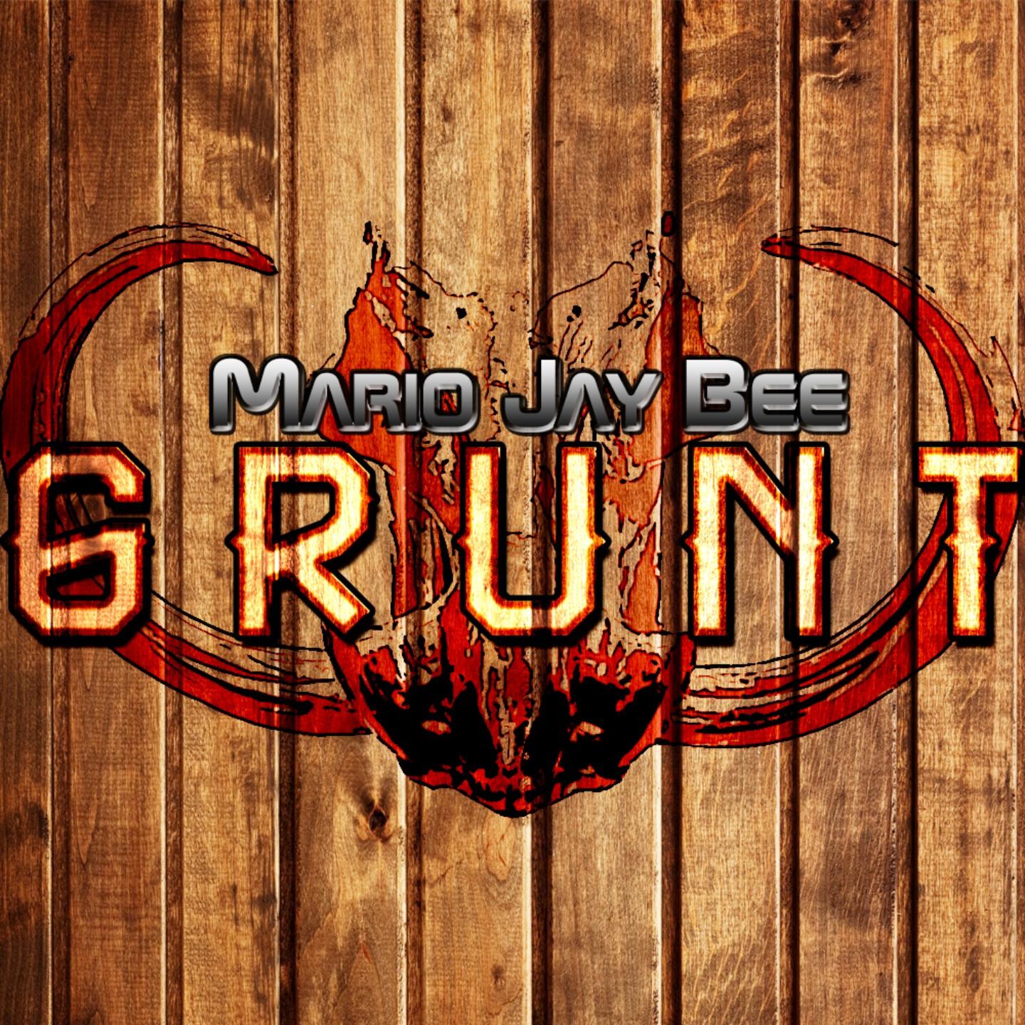 Постер альбома Grunt