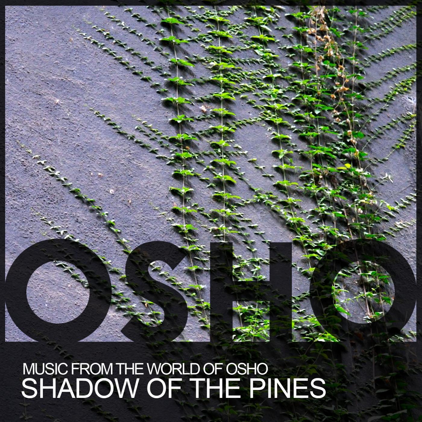 Постер альбома Shadow of the Pines