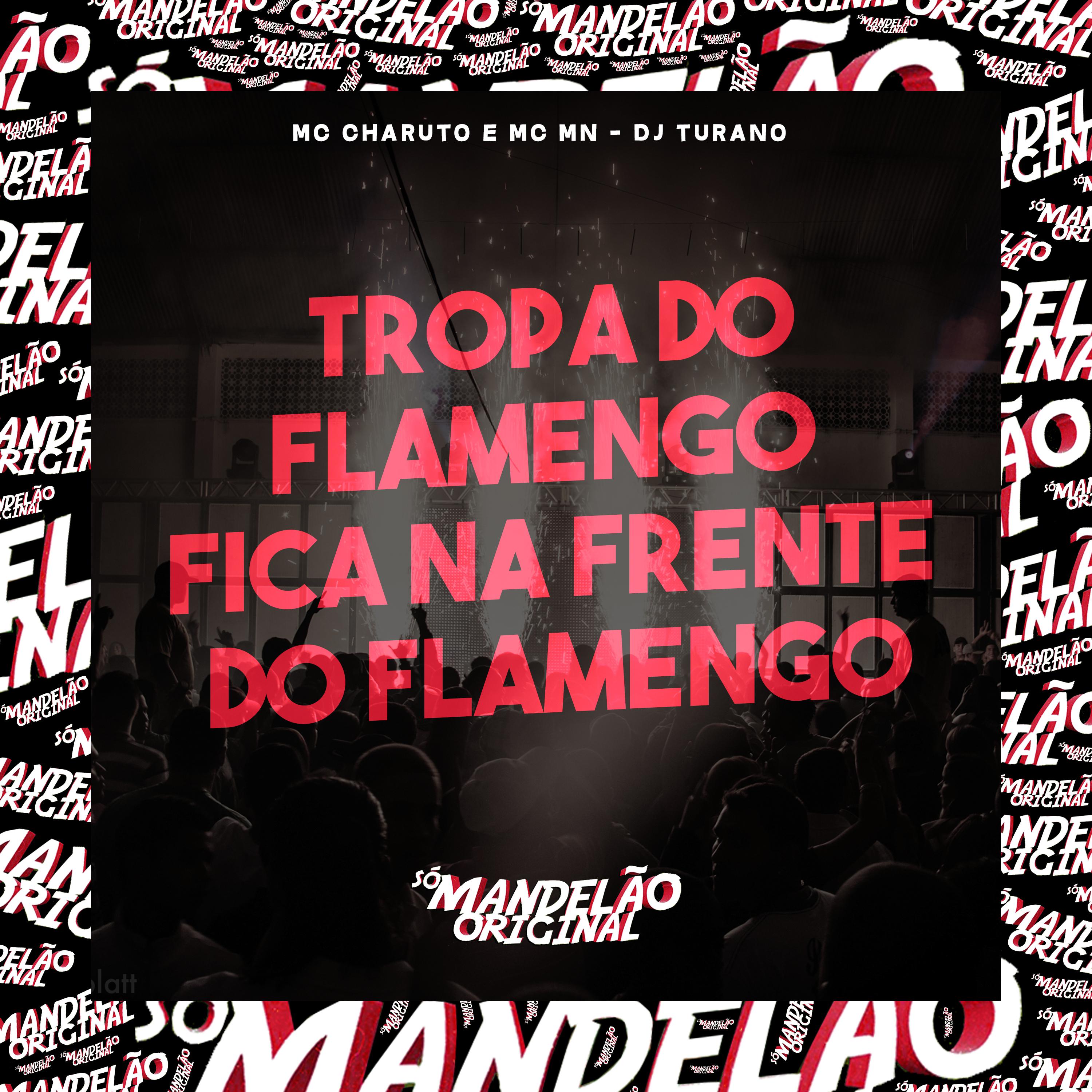 Постер альбома Tropa do Flamengo - Fica na Frente do Flamengo
