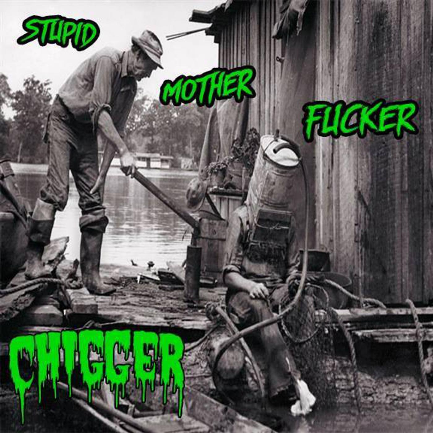 Постер альбома Stupid Mother Fucker