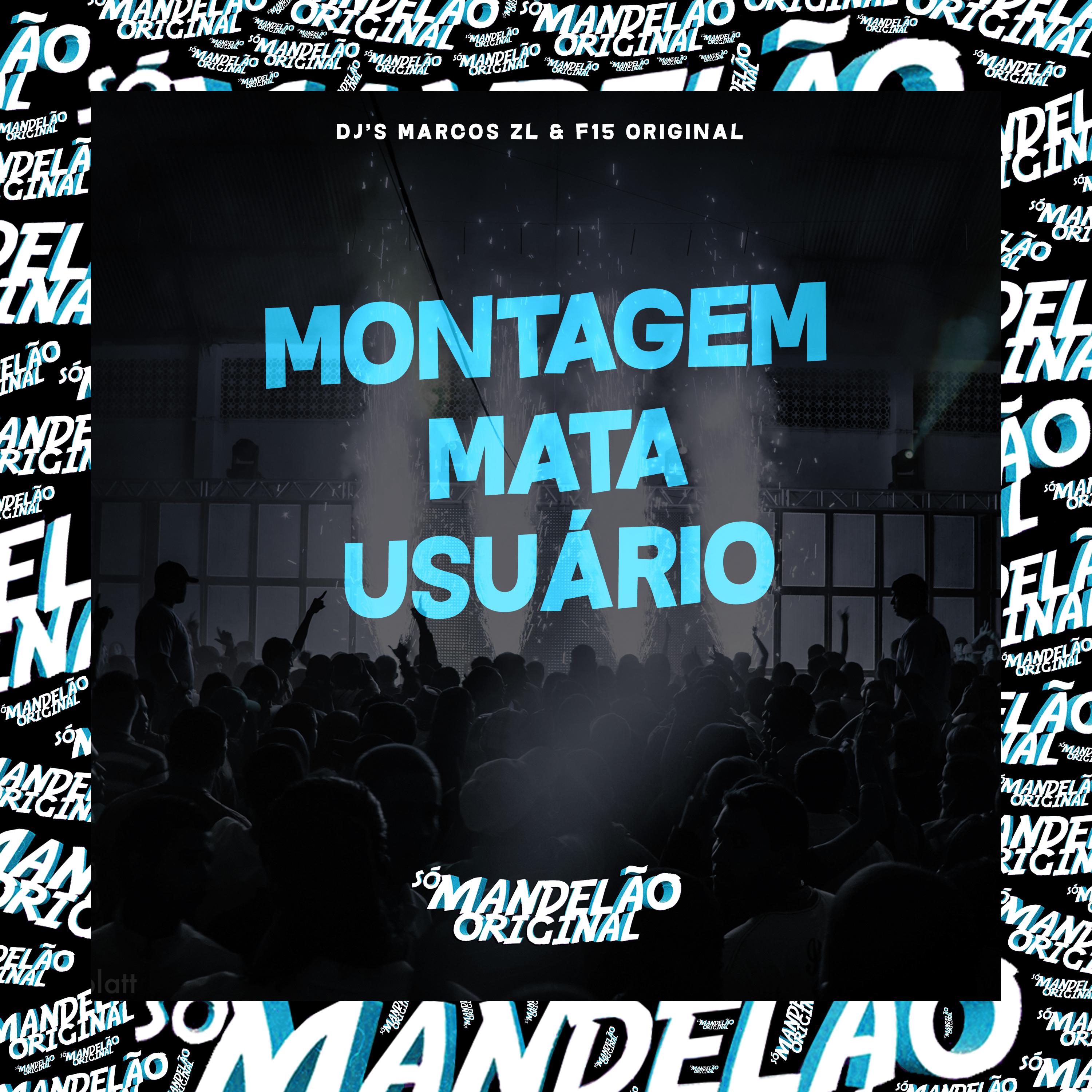 Постер альбома Montagem Mata Usuário